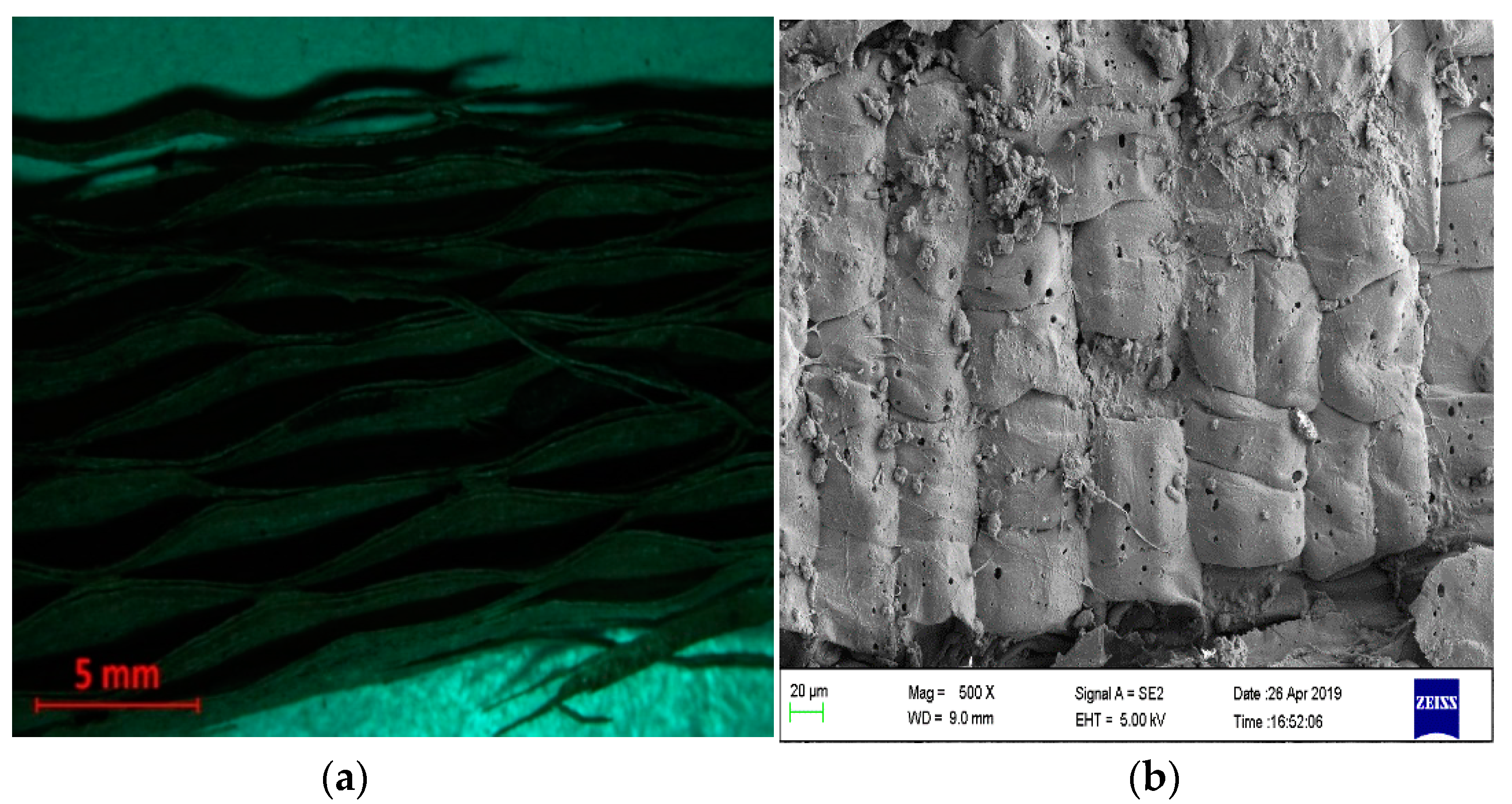 Fibers 08 00044 g002