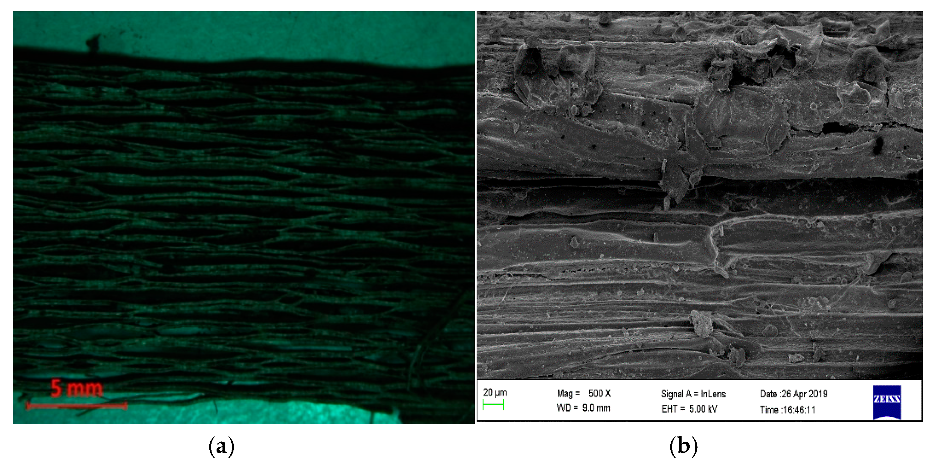 Fibers 08 00044 g003