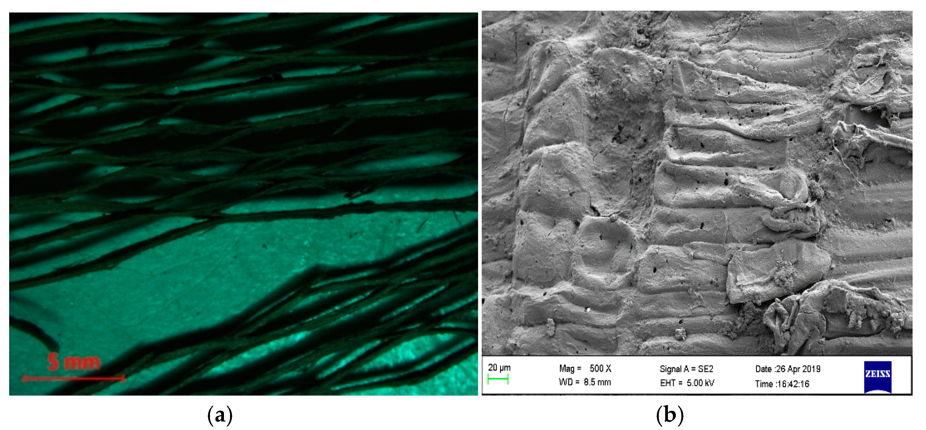 Fibers 08 00044 g004