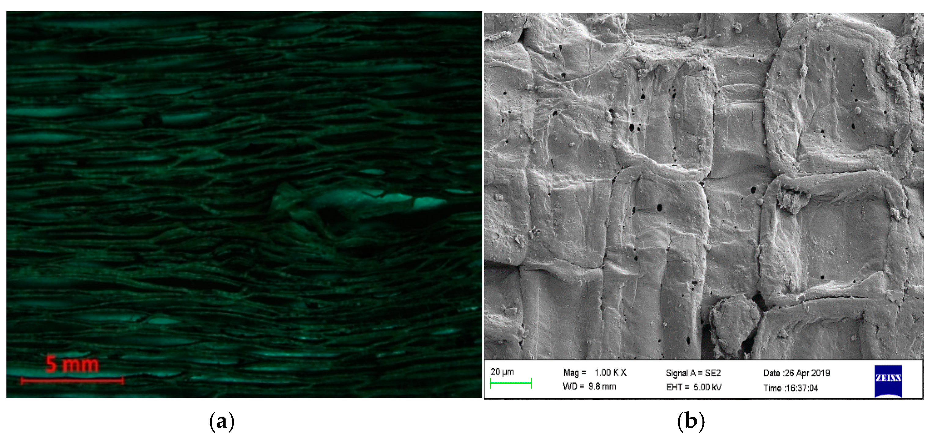 Fibers 08 00044 g005