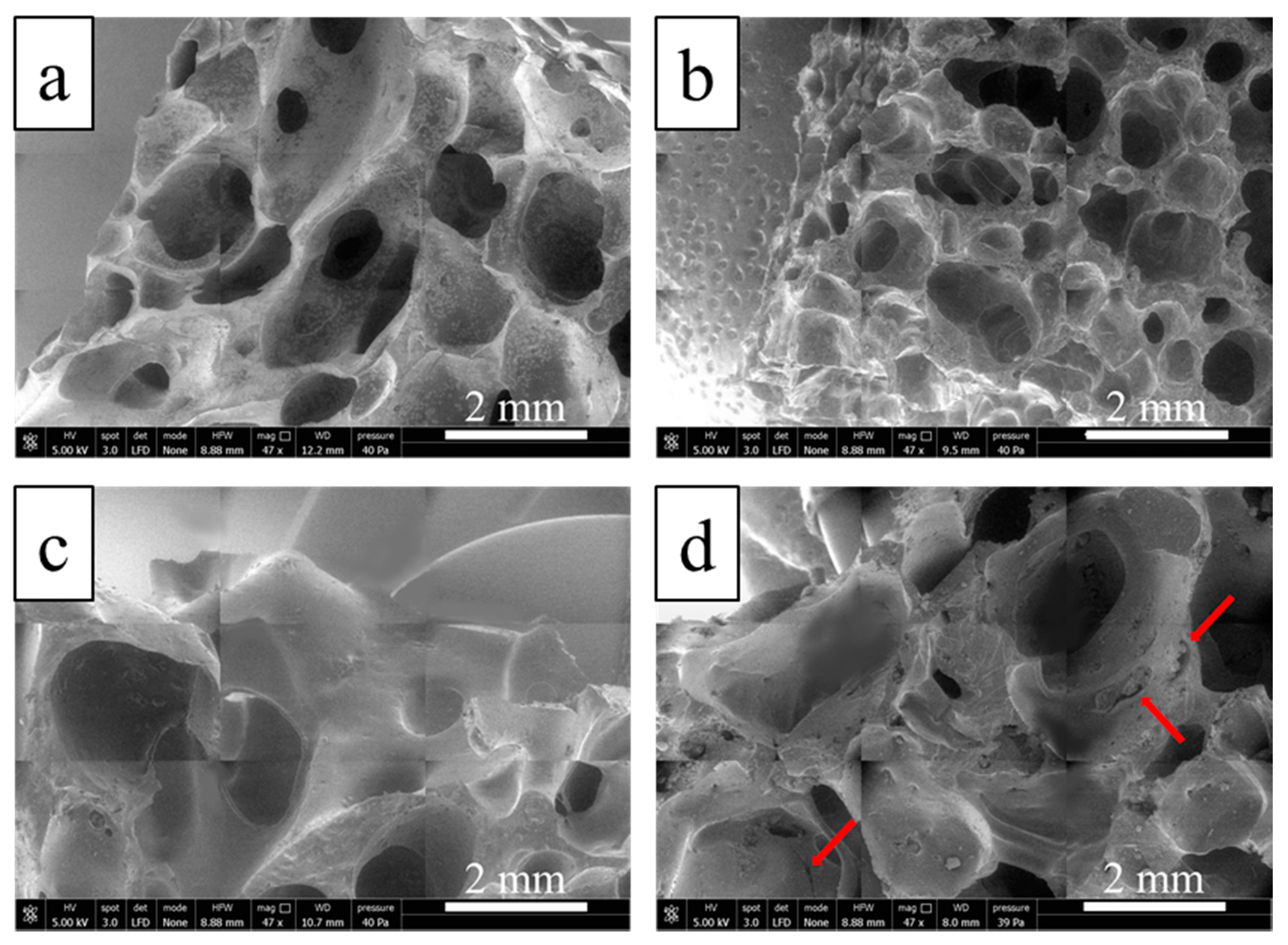 Fibers 08 00045 g005