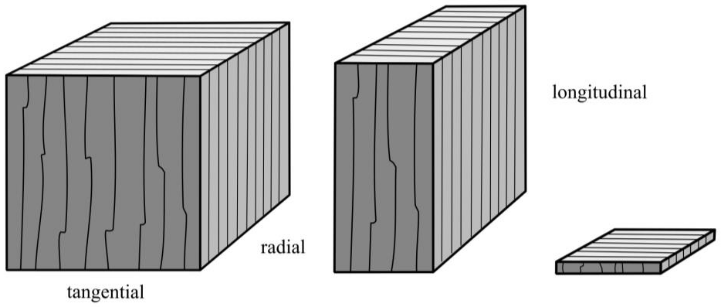 Fibers 08 00047 g001