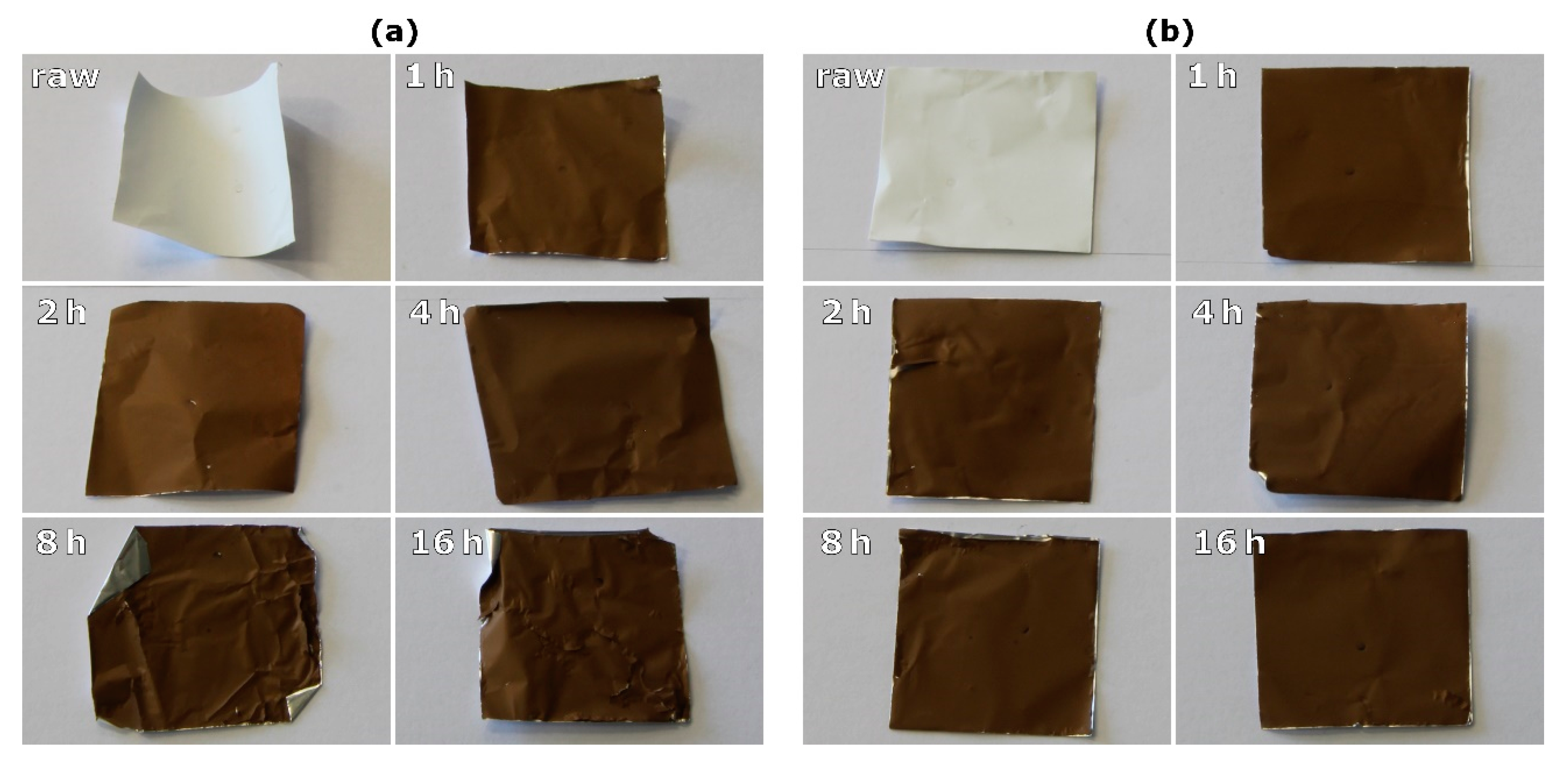 Fibers 08 00055 g001