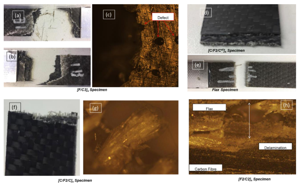 Fibers 08 00064 g006