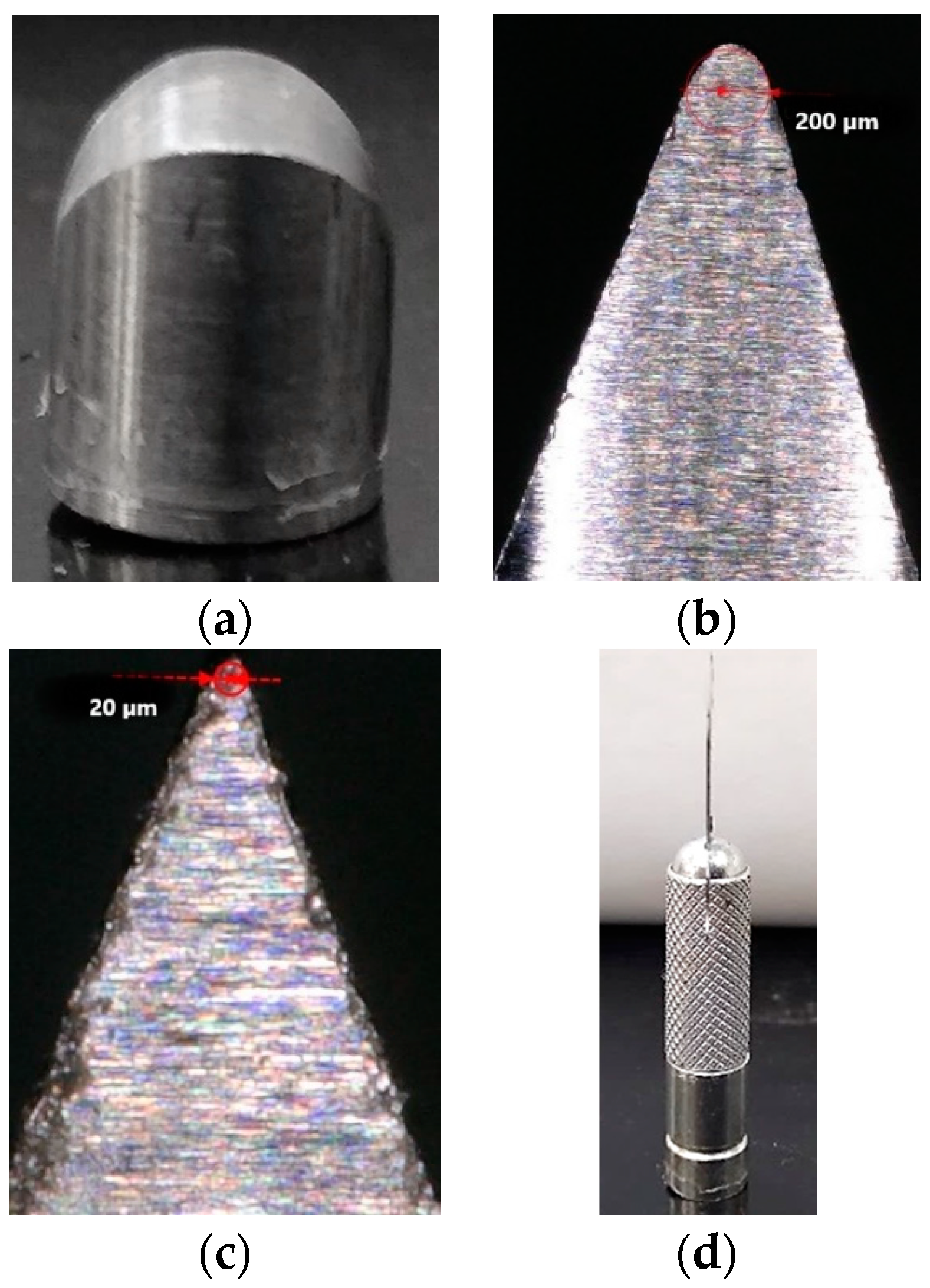 Fibers 08 00066 g002