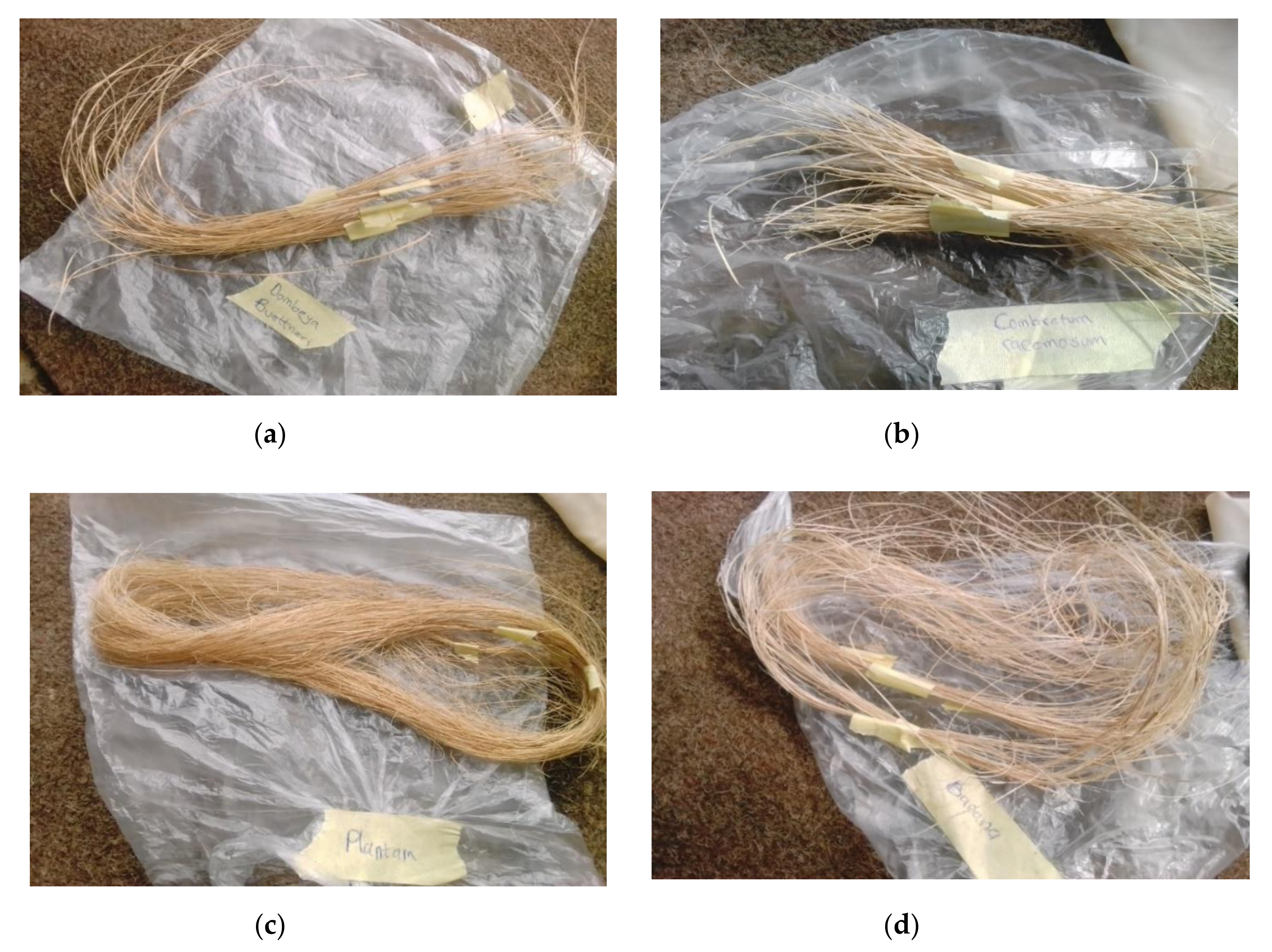 Fibers 08 00073 g002 Fibers 08 00073 g002