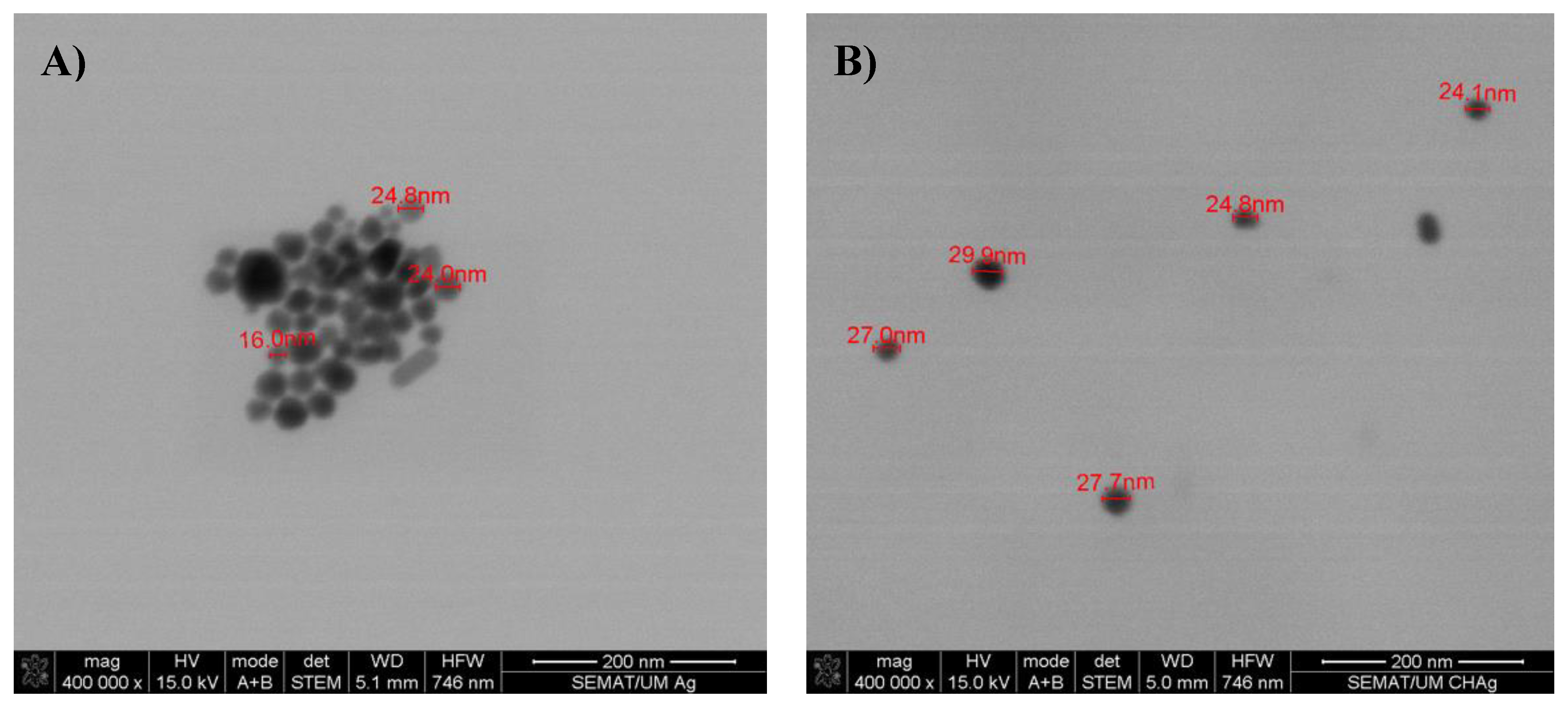 Fibers 09 00003 g002a