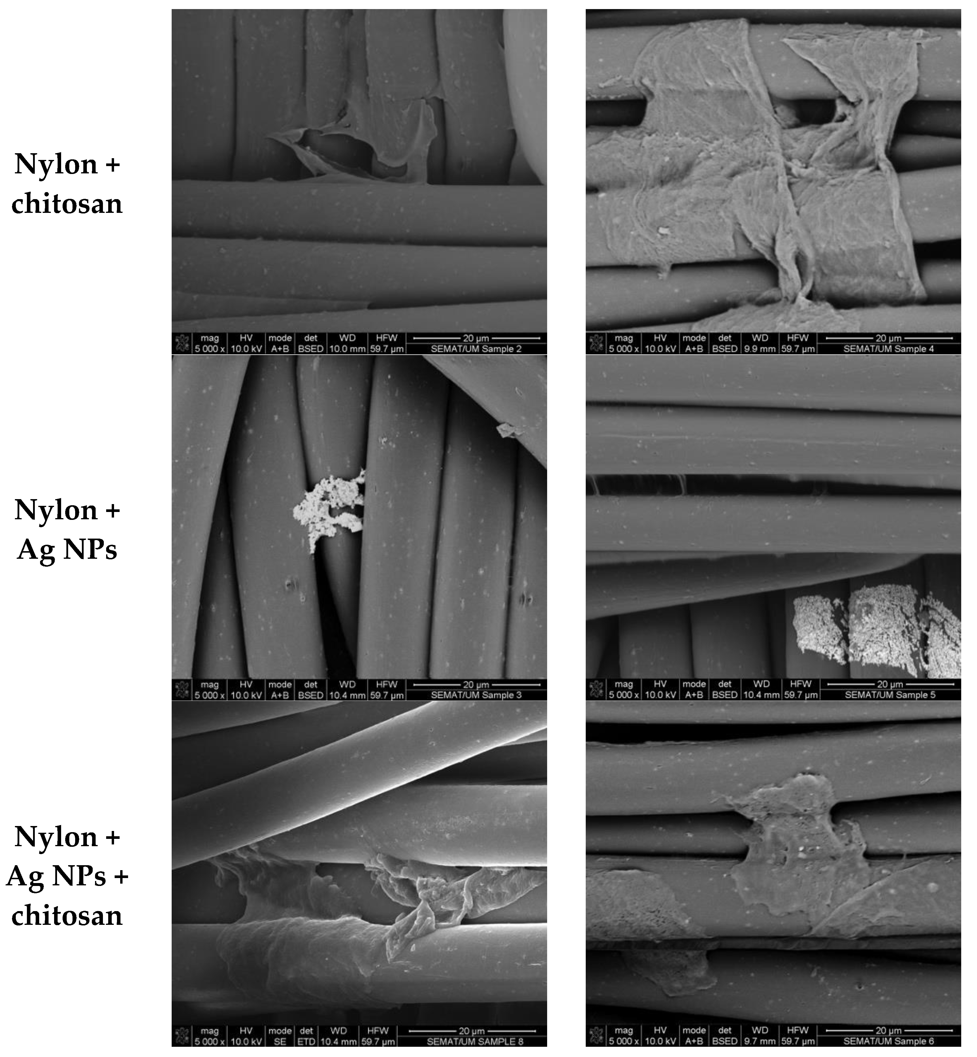 Fibers 09 00003 g003b