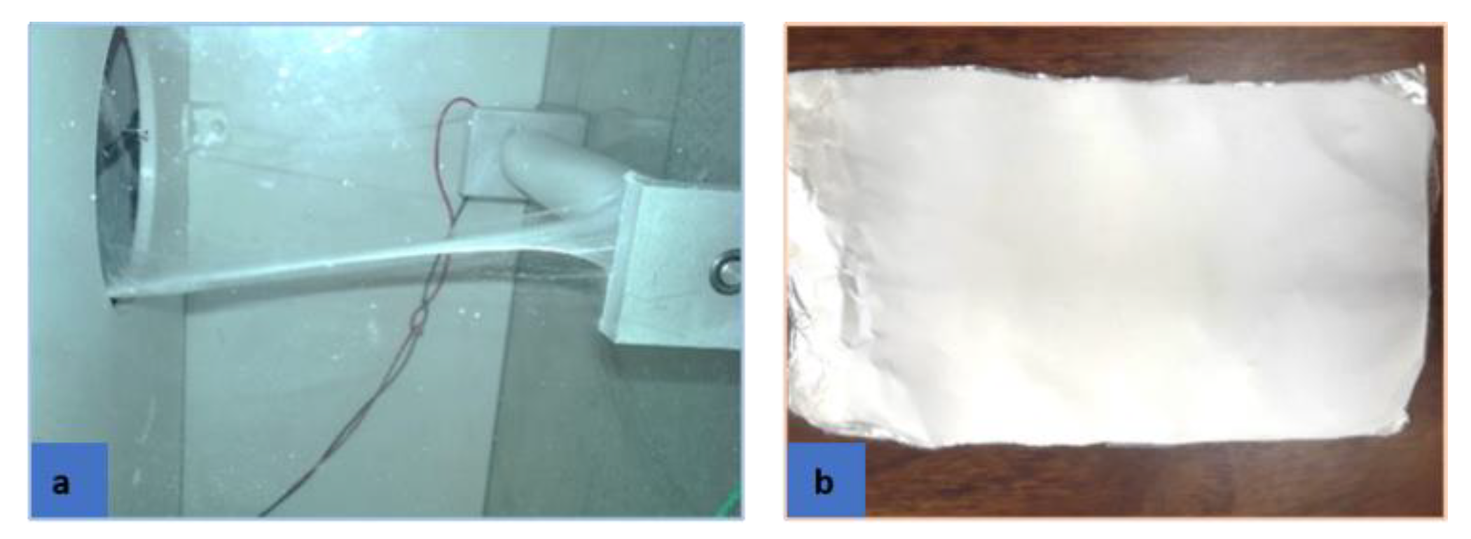 Fibers 09 00004 g021