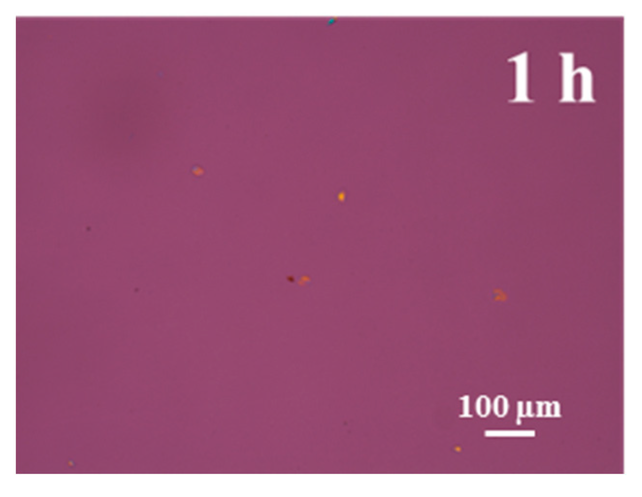 Fibers 09 00005 g009