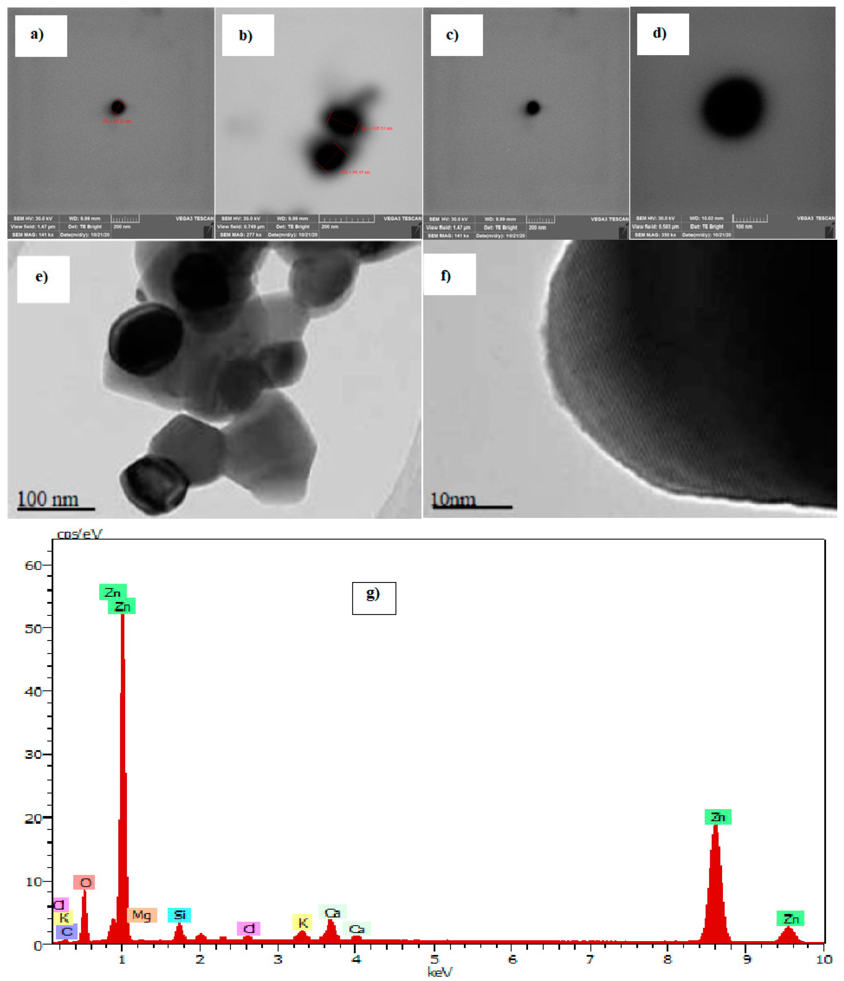 Fibers 09 00010 g002