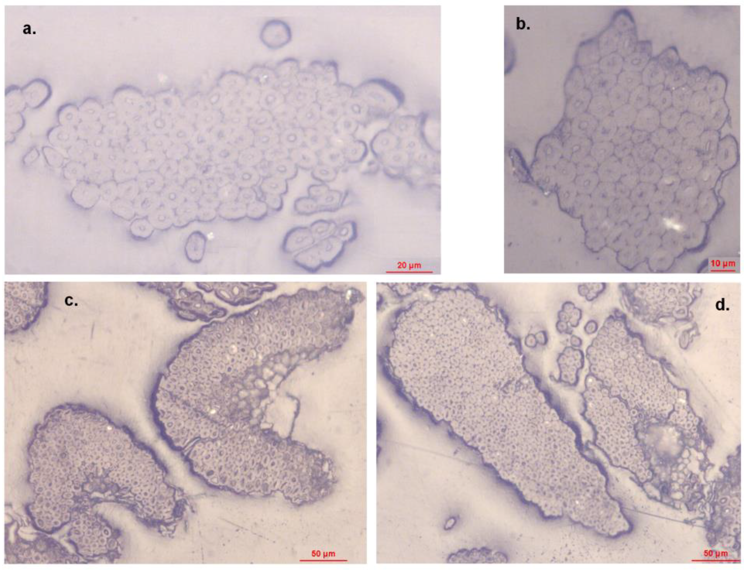 Fibers 09 00011 g003 Fibers 09 00011 g003