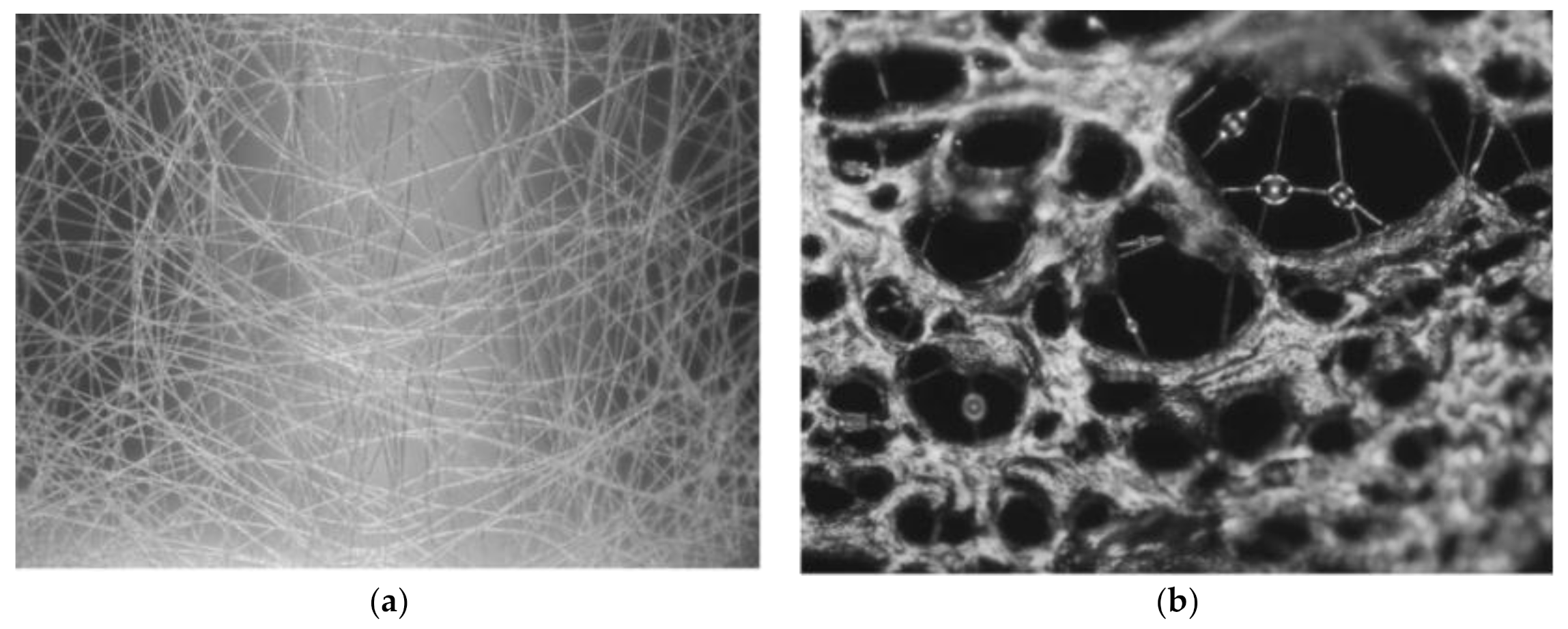 Fibers 09 00012 g006