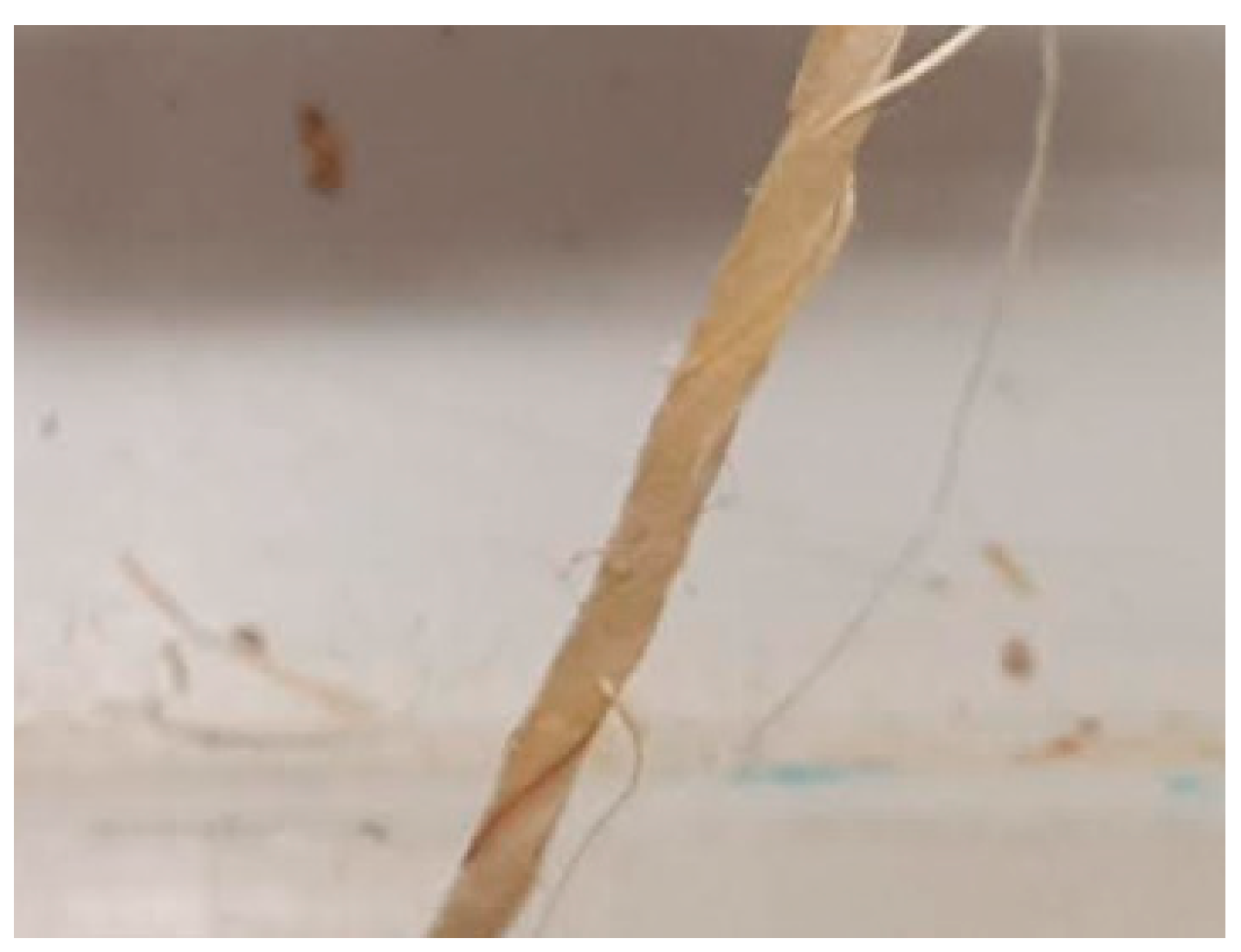 Fibers 09 00013 g001