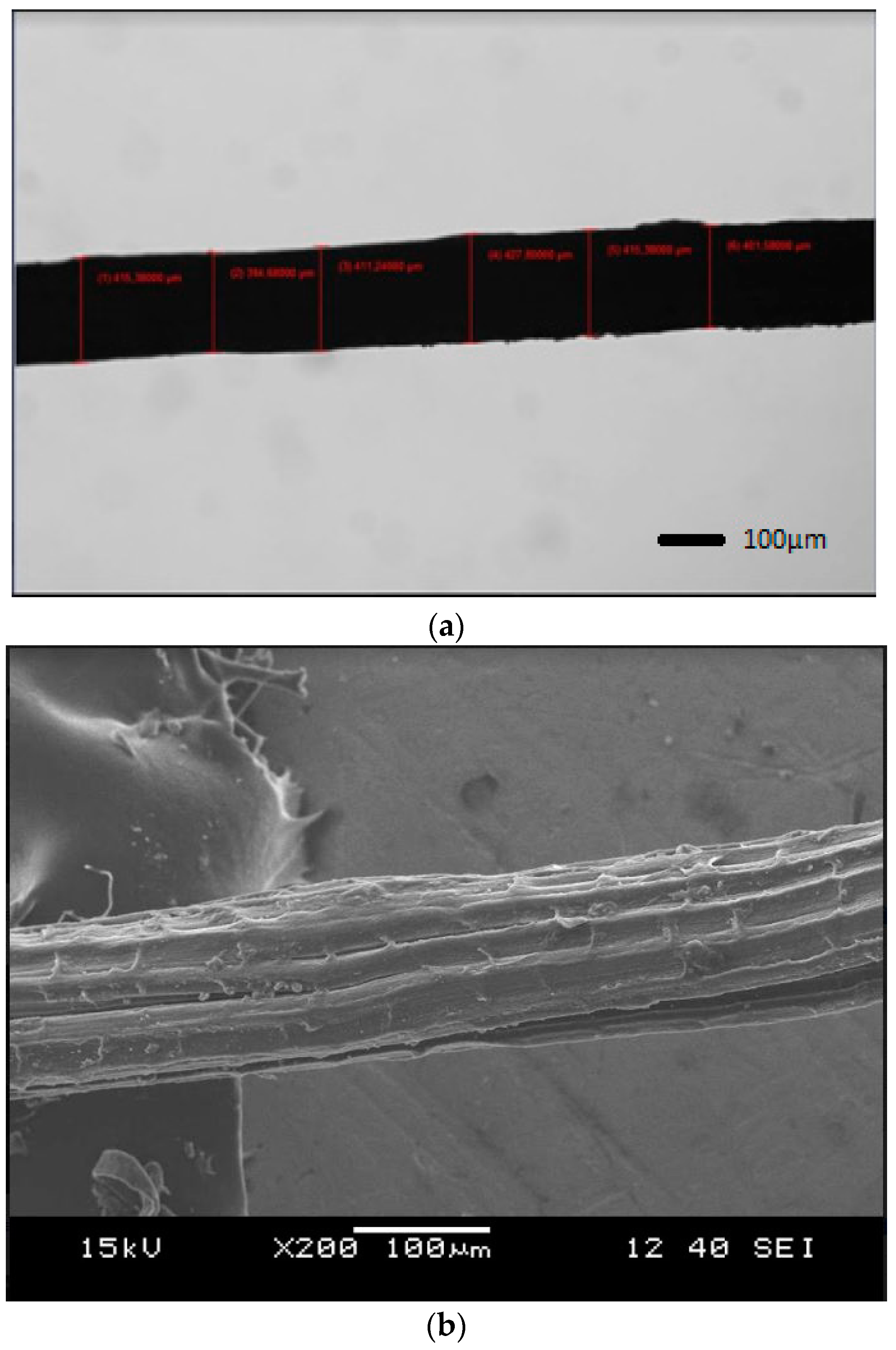 Fibers 09 00013 g005
