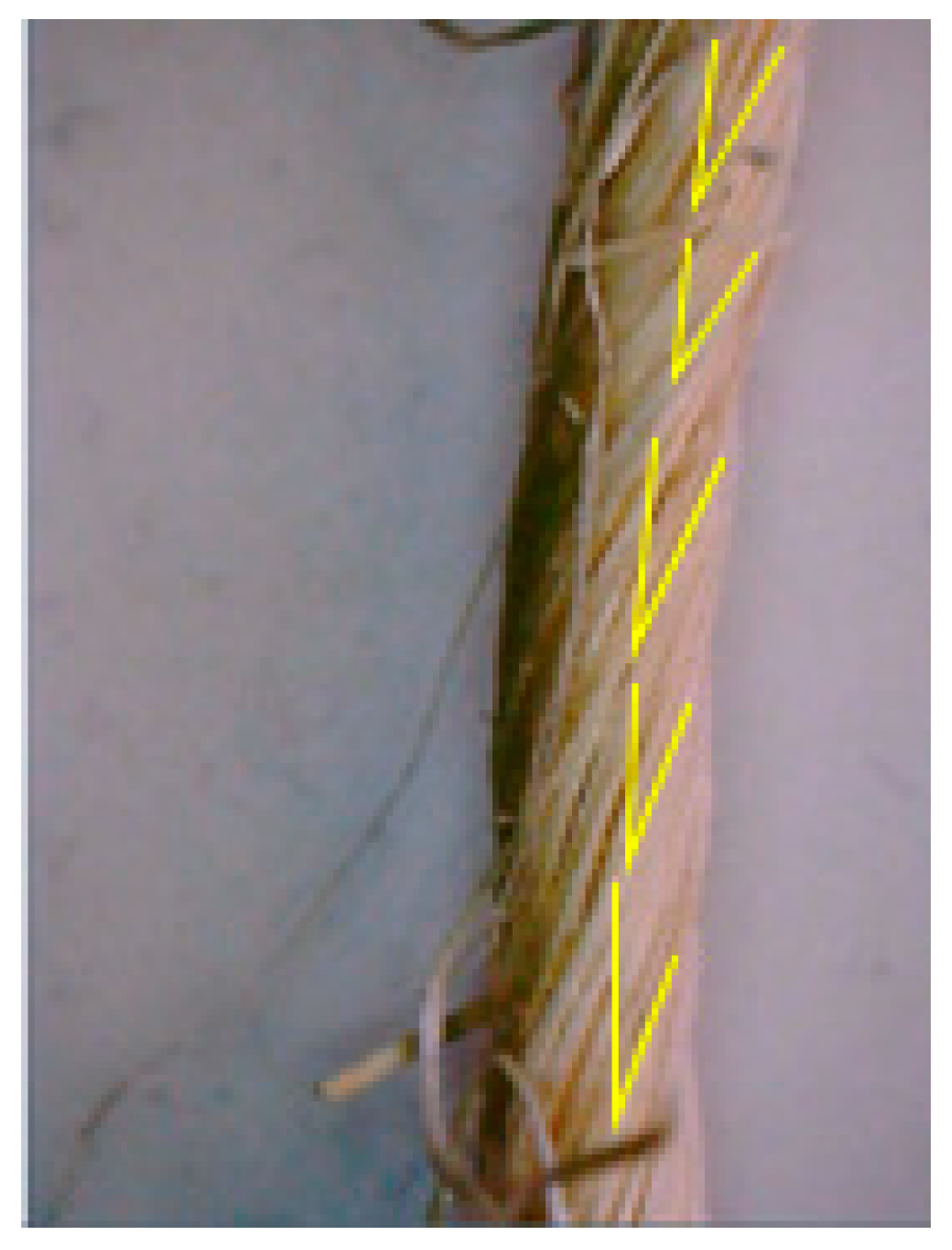 Fibers 09 00013 g009