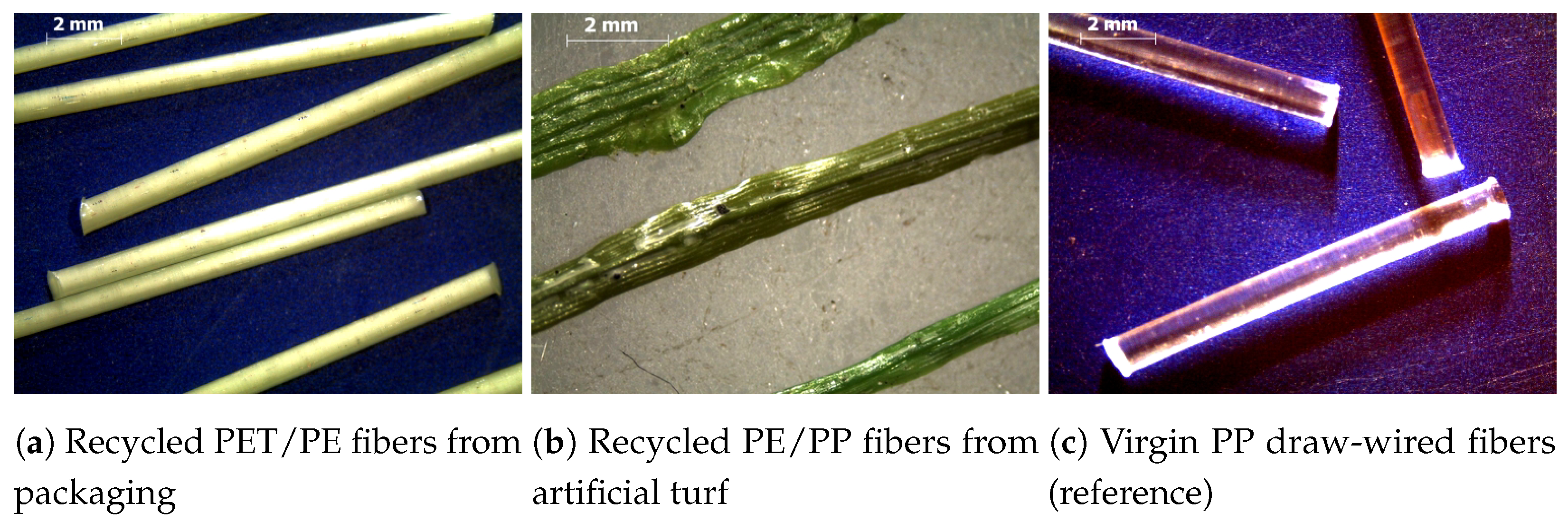 Fibers 09 00016 g002