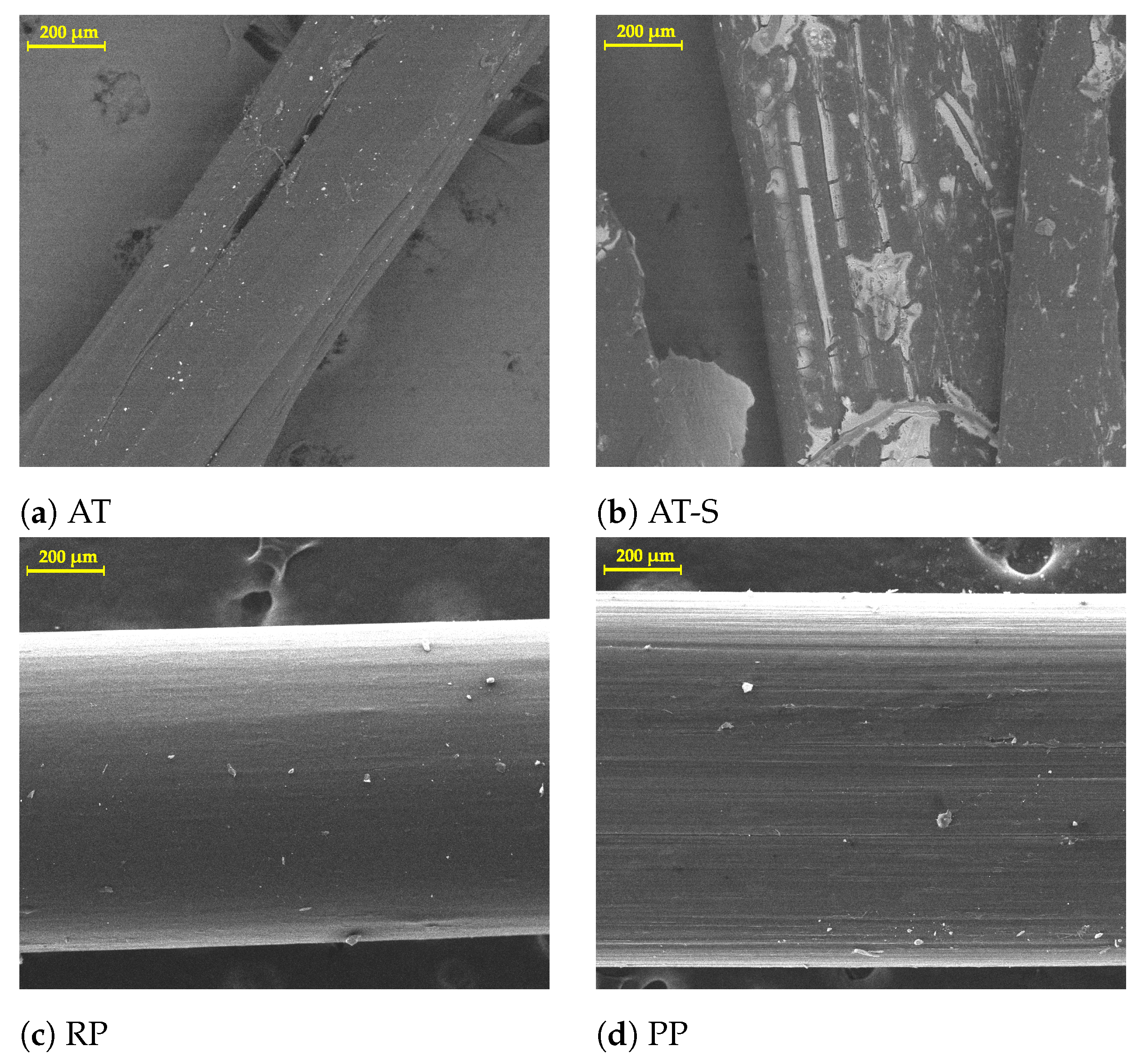 Fibers 09 00016 g004