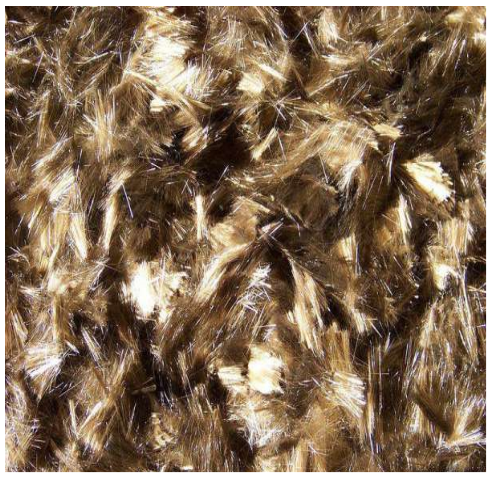 Fibers 09 00026 g001