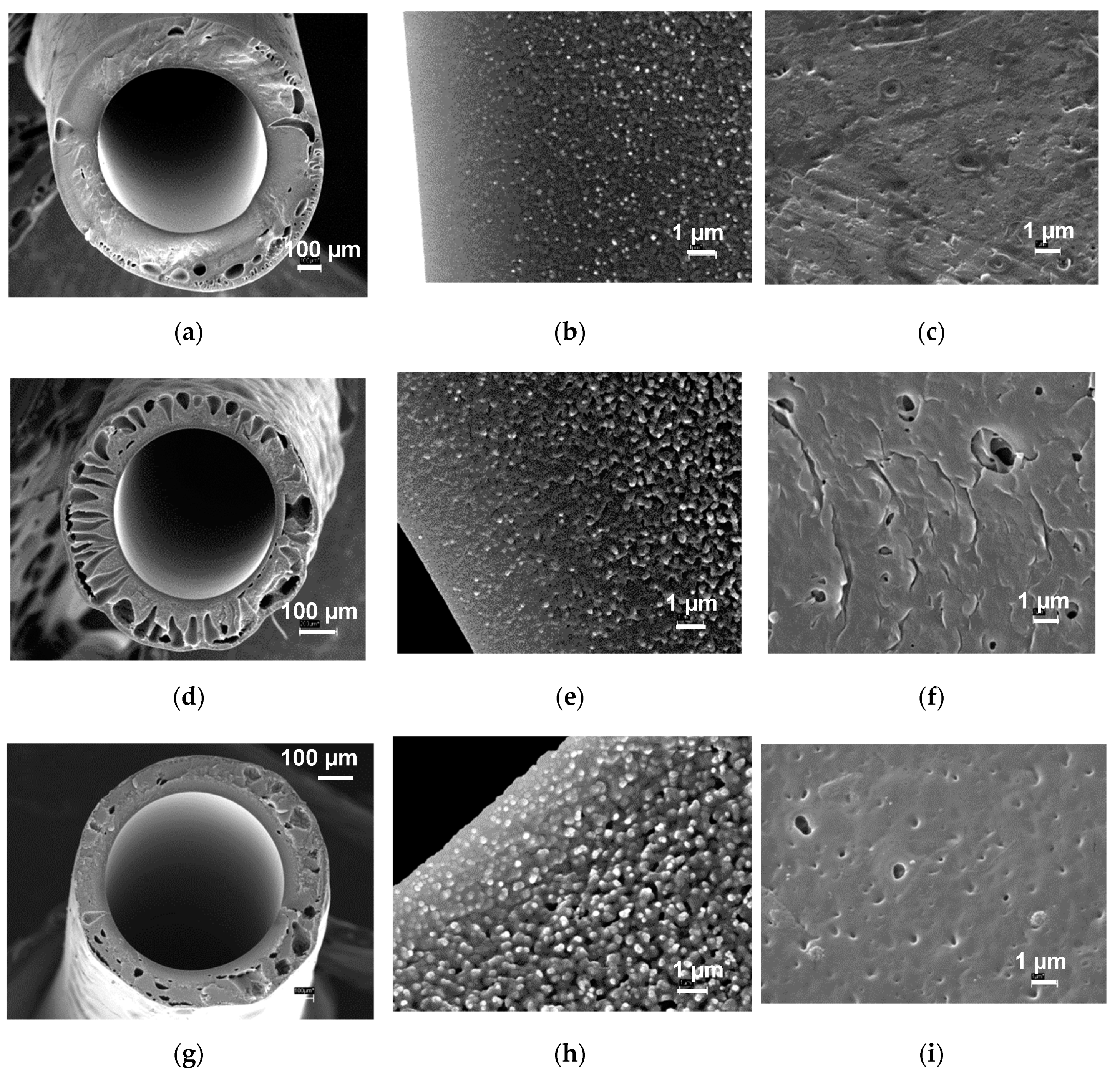 Fibers 09 00028 g004