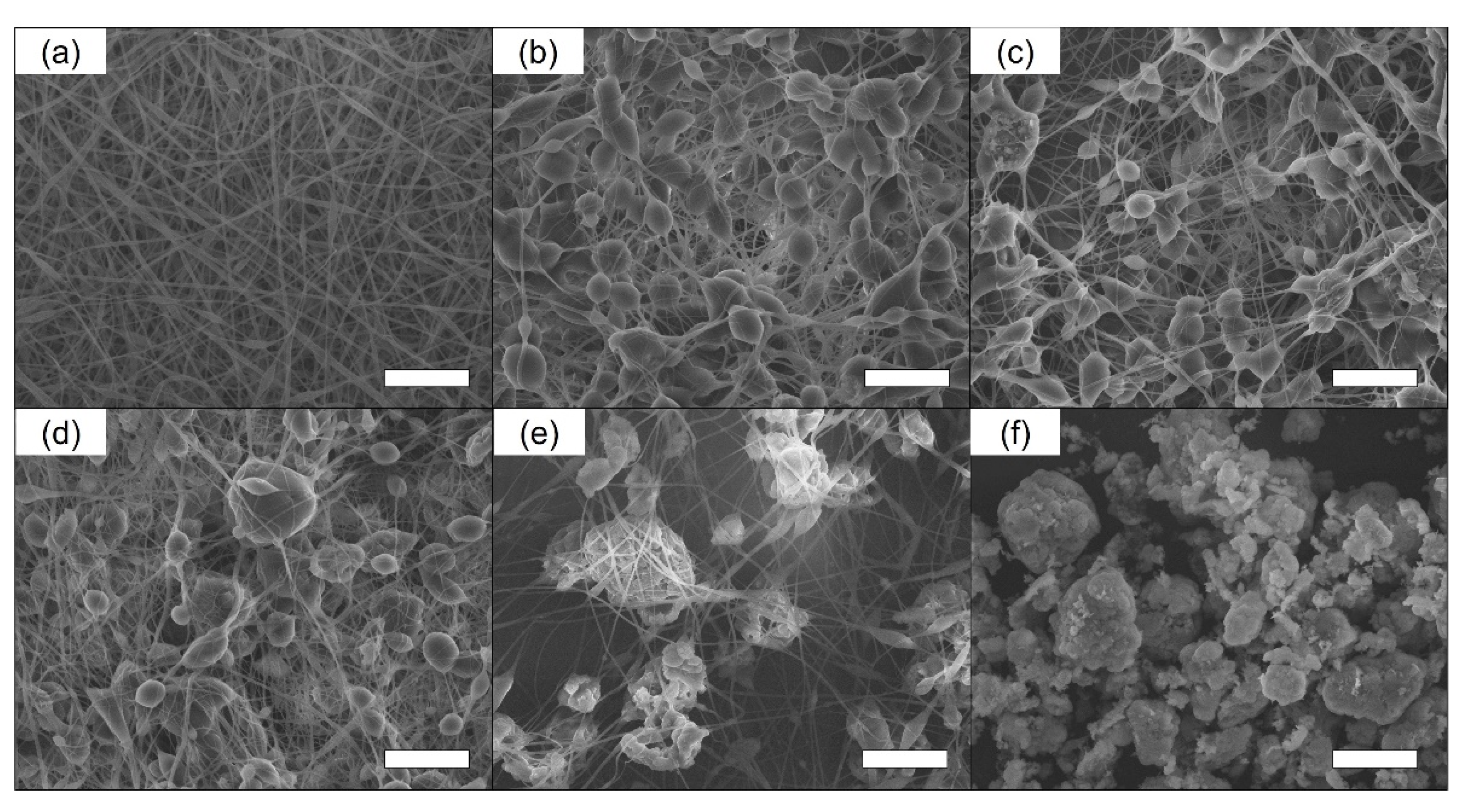 Fibers 09 00037 g002 Fibers 09 00037 g002