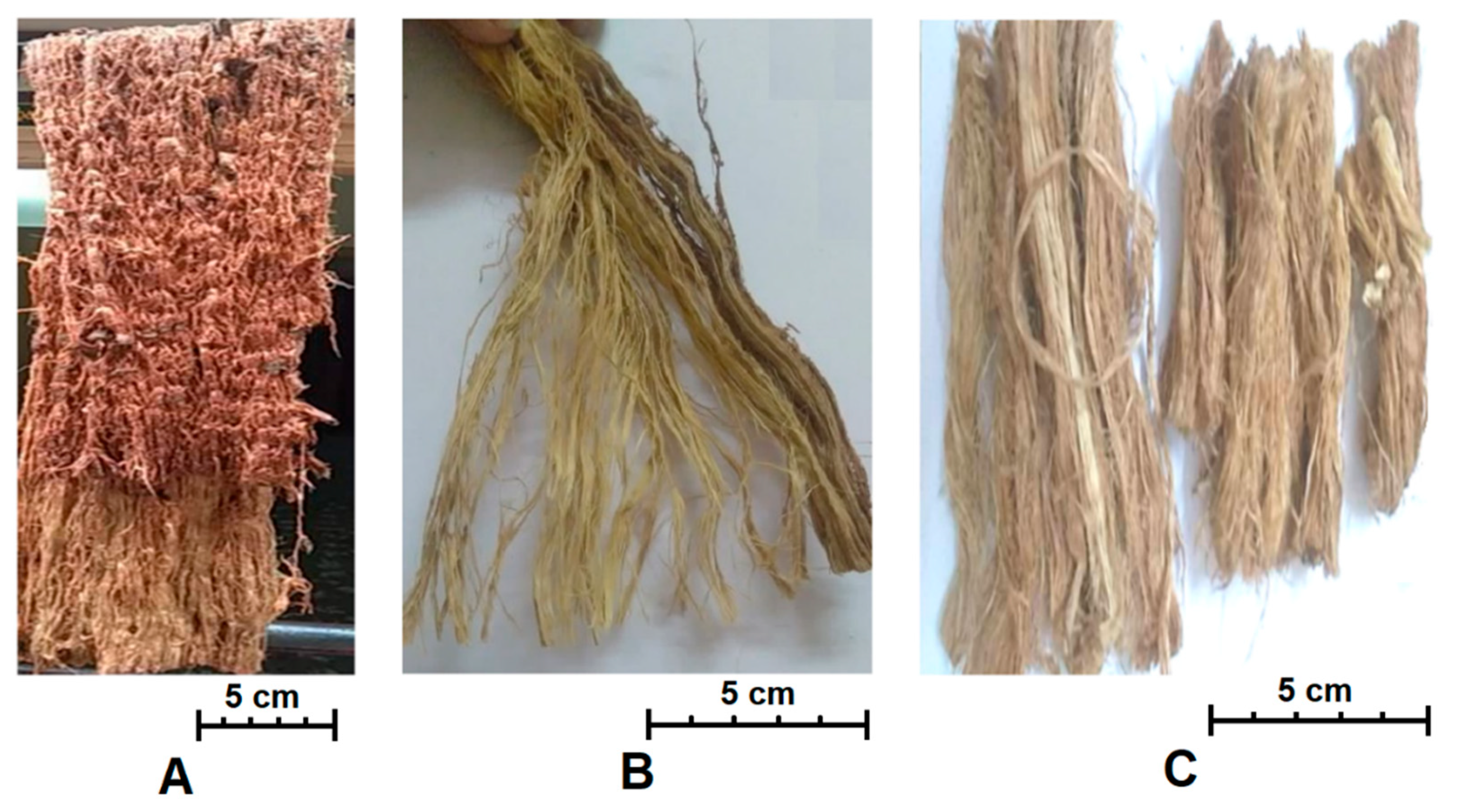Fibers 09 00049 g002
