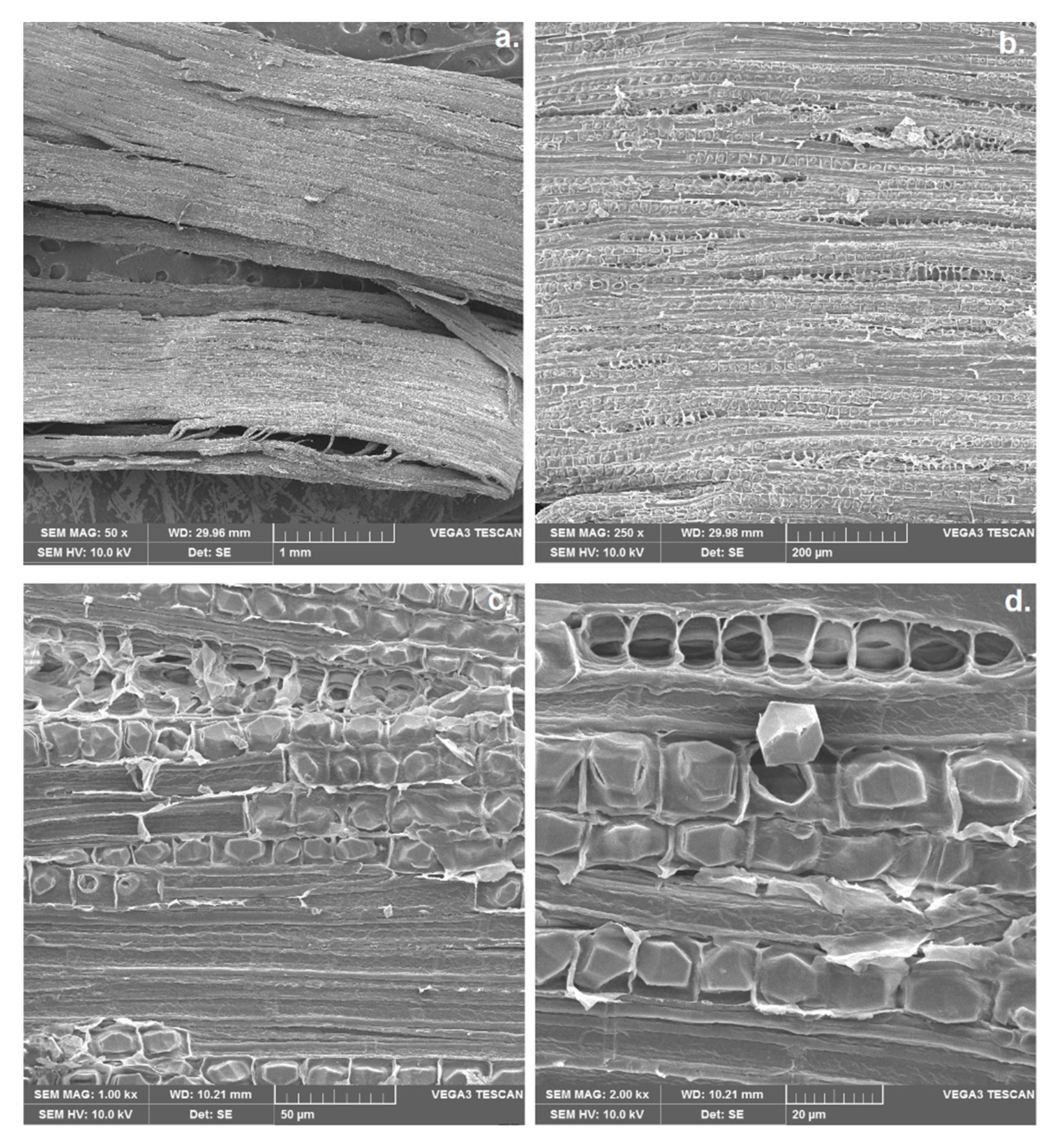 Fibers 09 00049 g006