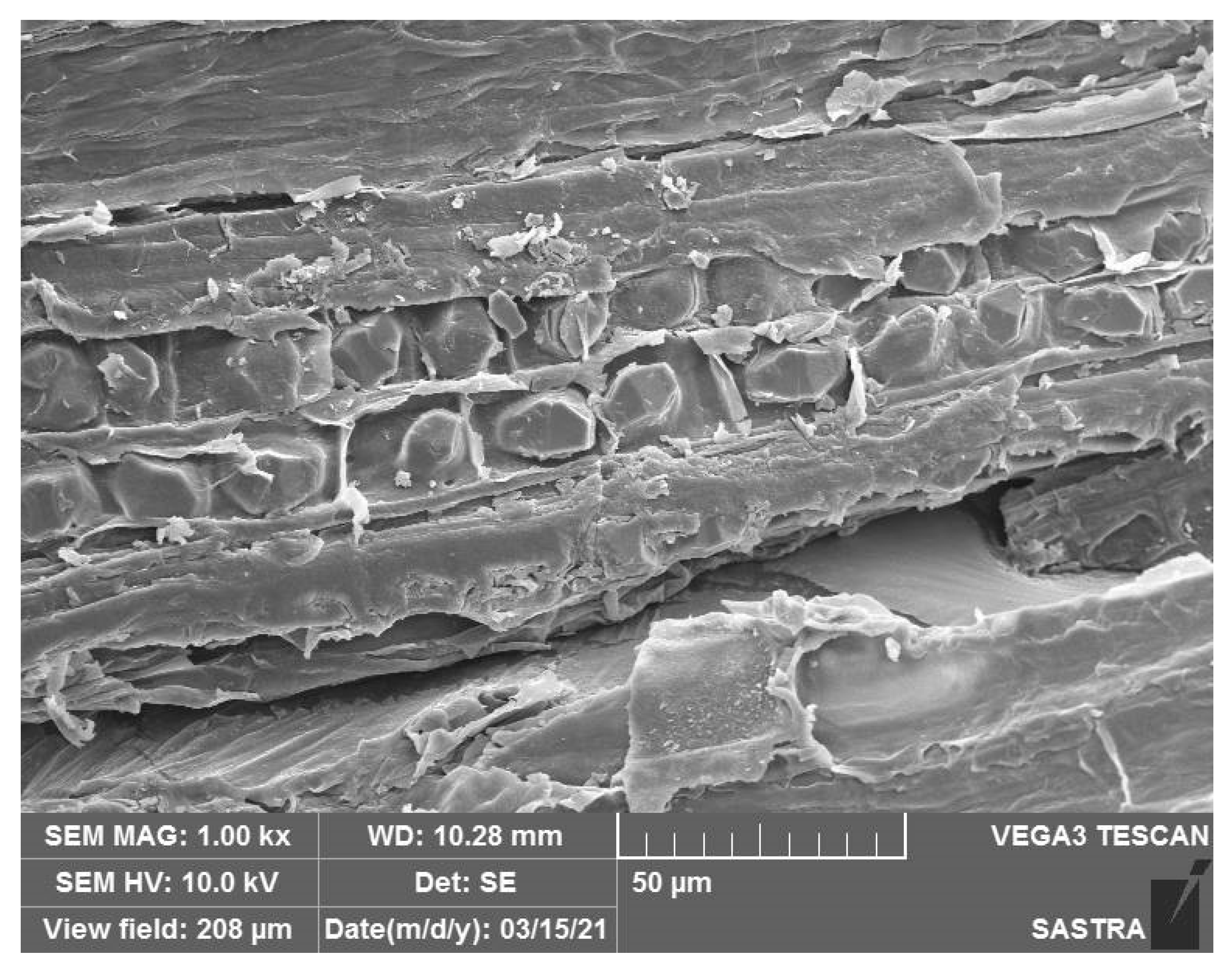 Fibers 09 00049 g007