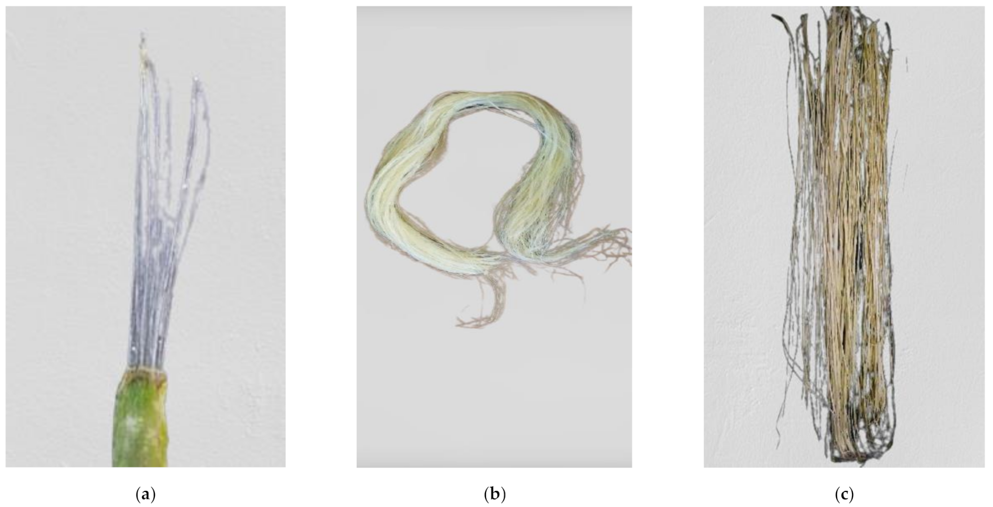 Fibers 09 00051 g001