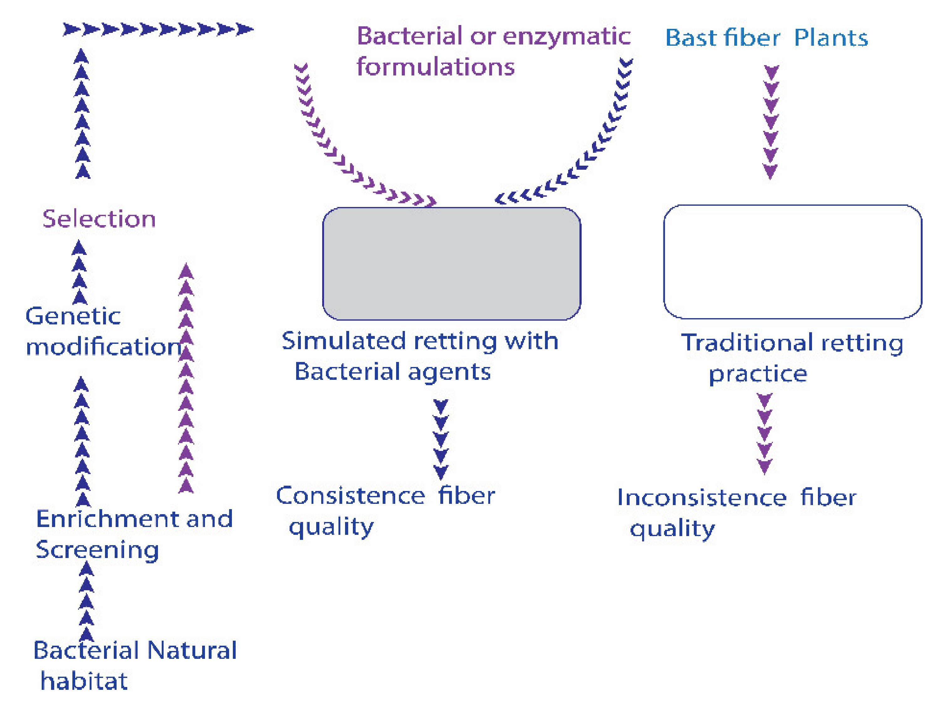 Fibers 09 00052 g001