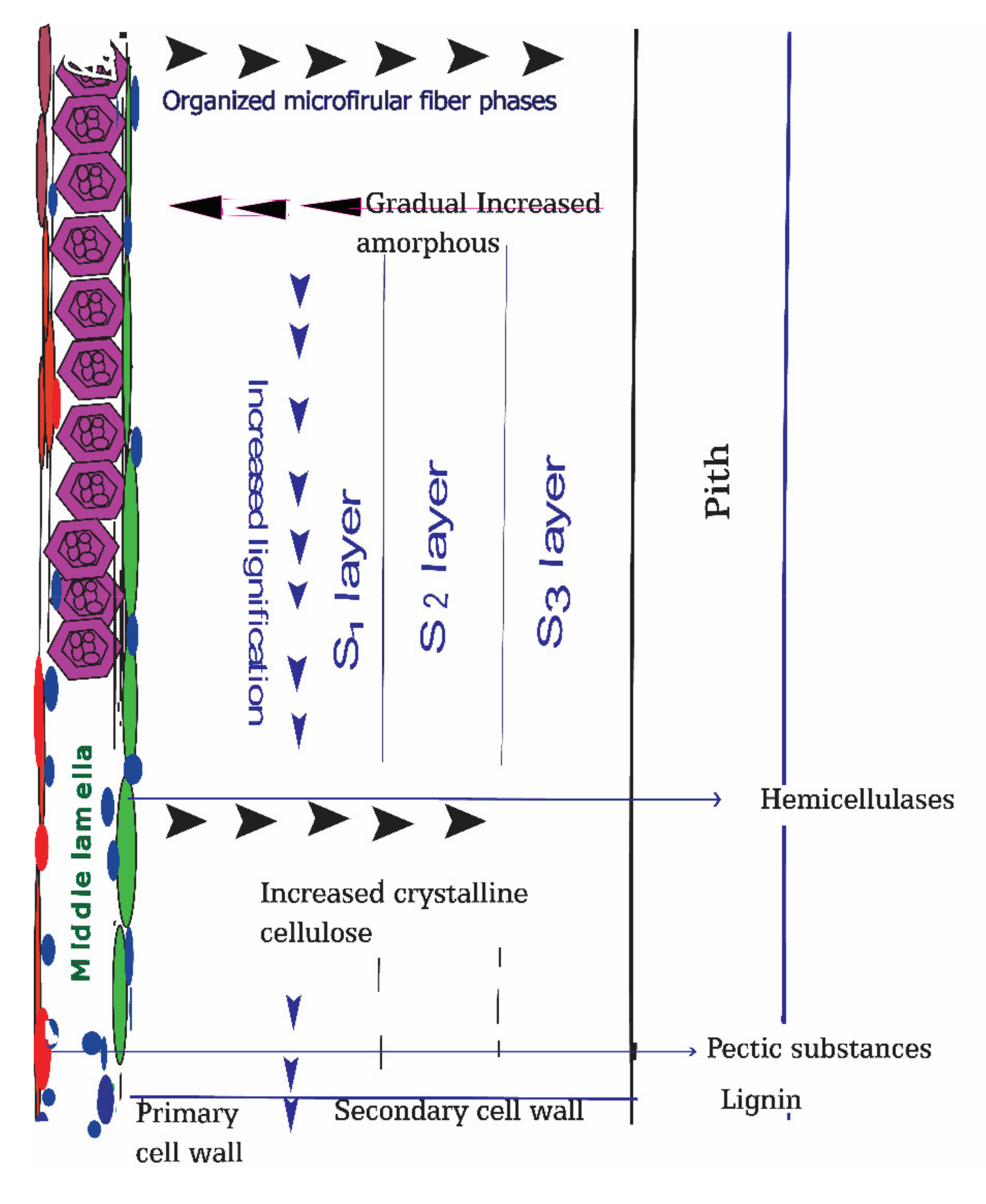 Fibers 09 00052 g002