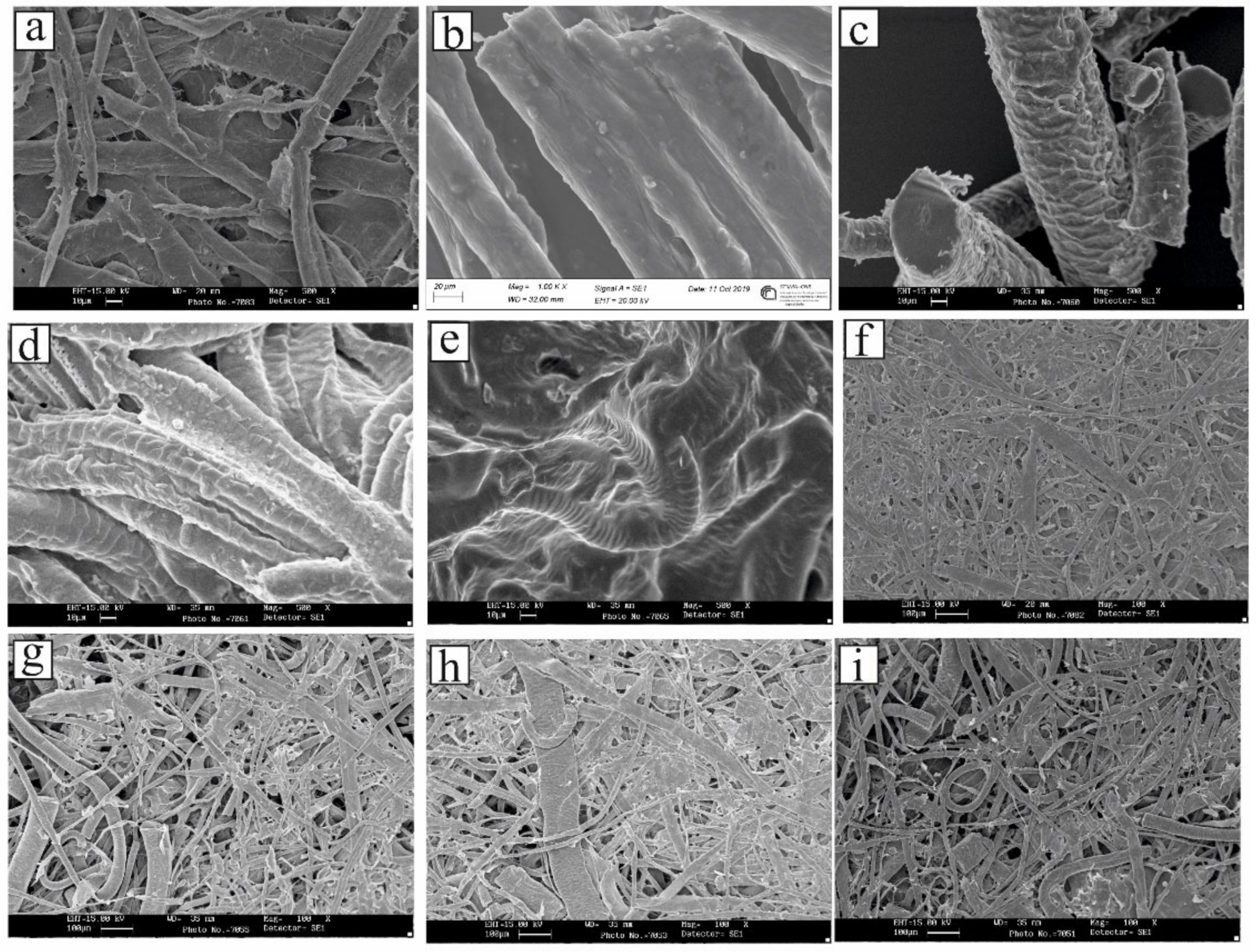 Fibers 09 00055 g002