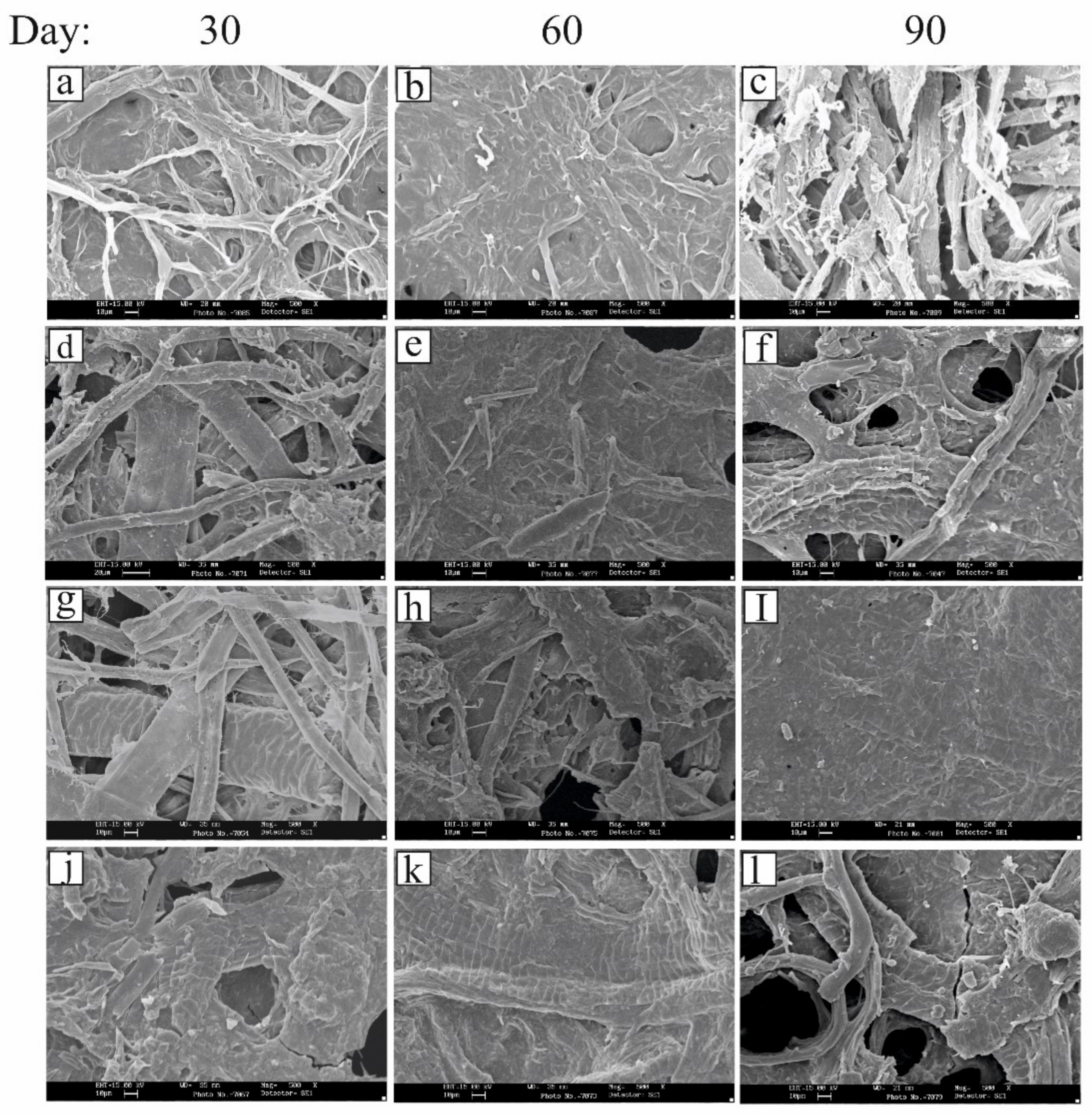 Fibers 09 00055 g003