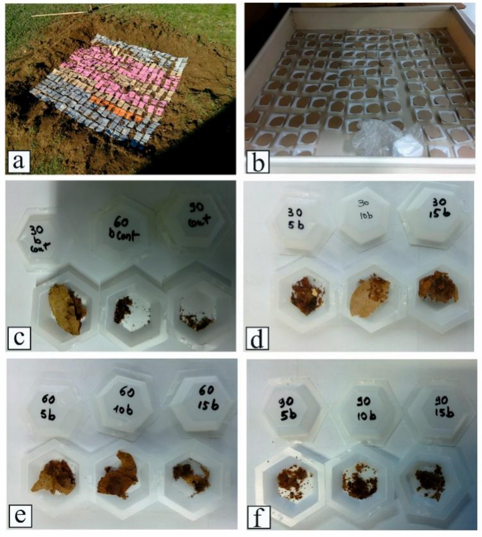Fibers 09 00055 g009