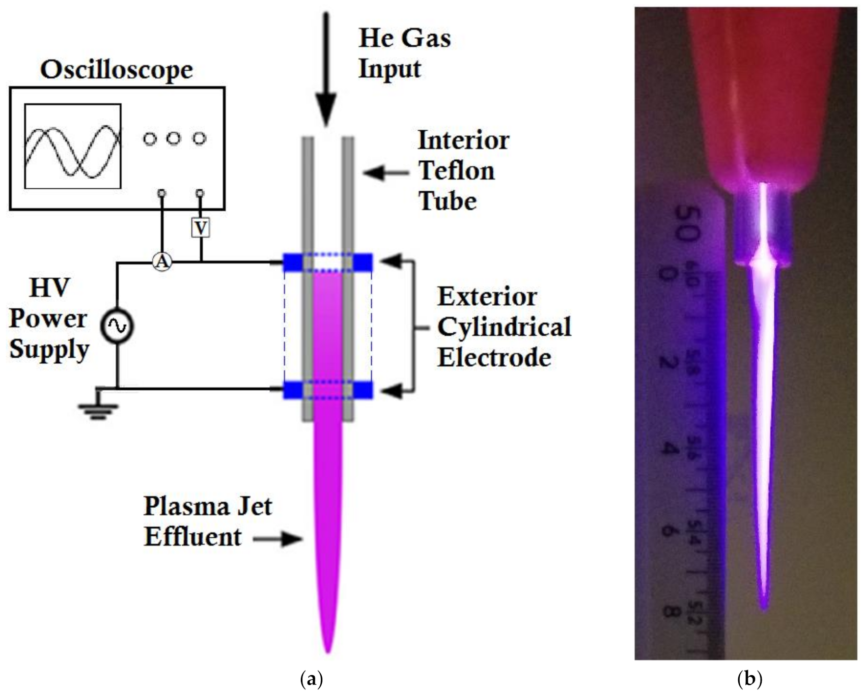 Fibers 09 00062 g002