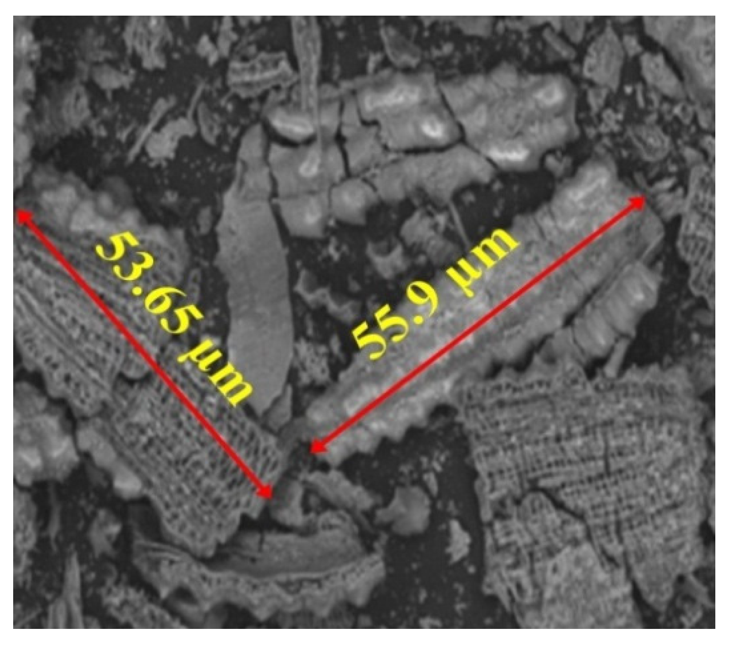 Fibers 09 00064 g002 Fibers 09 00064 g002