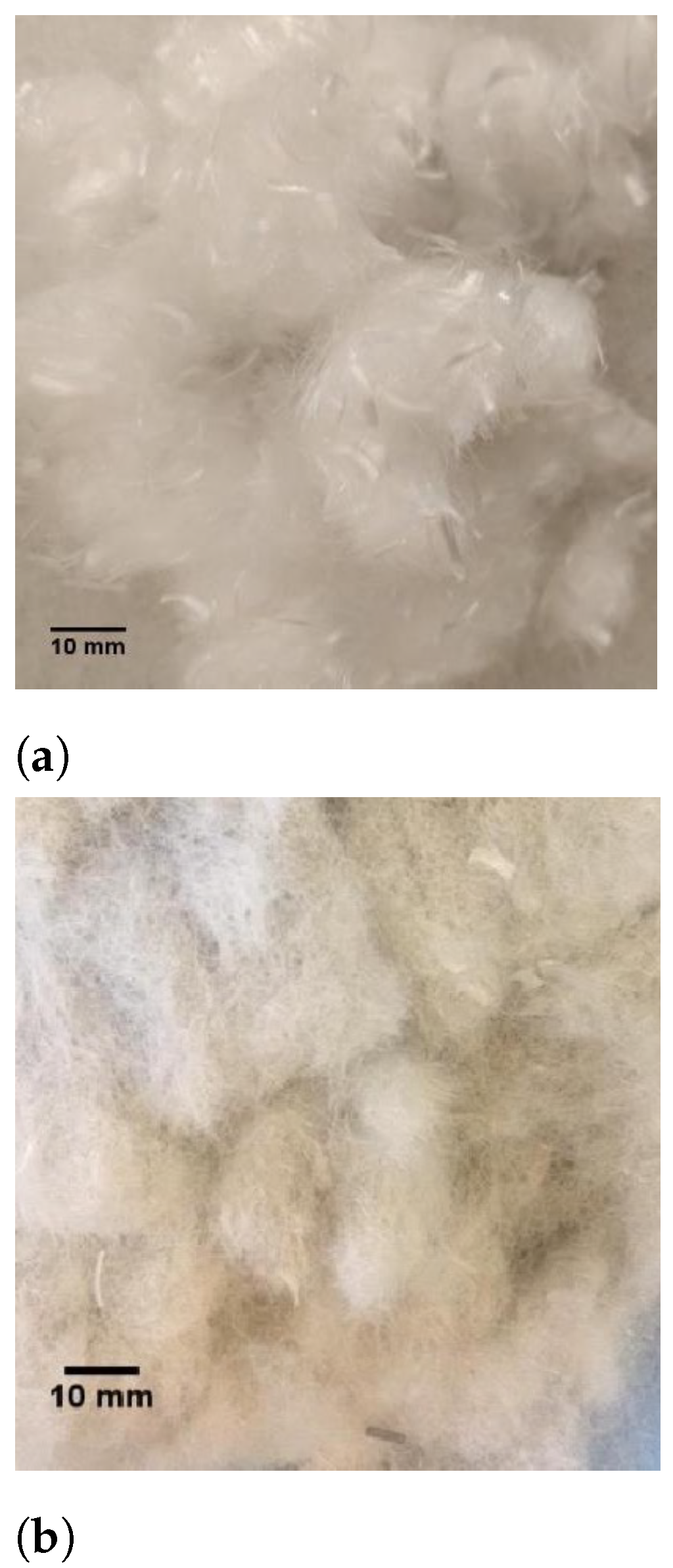Fibers 09 00065 g003