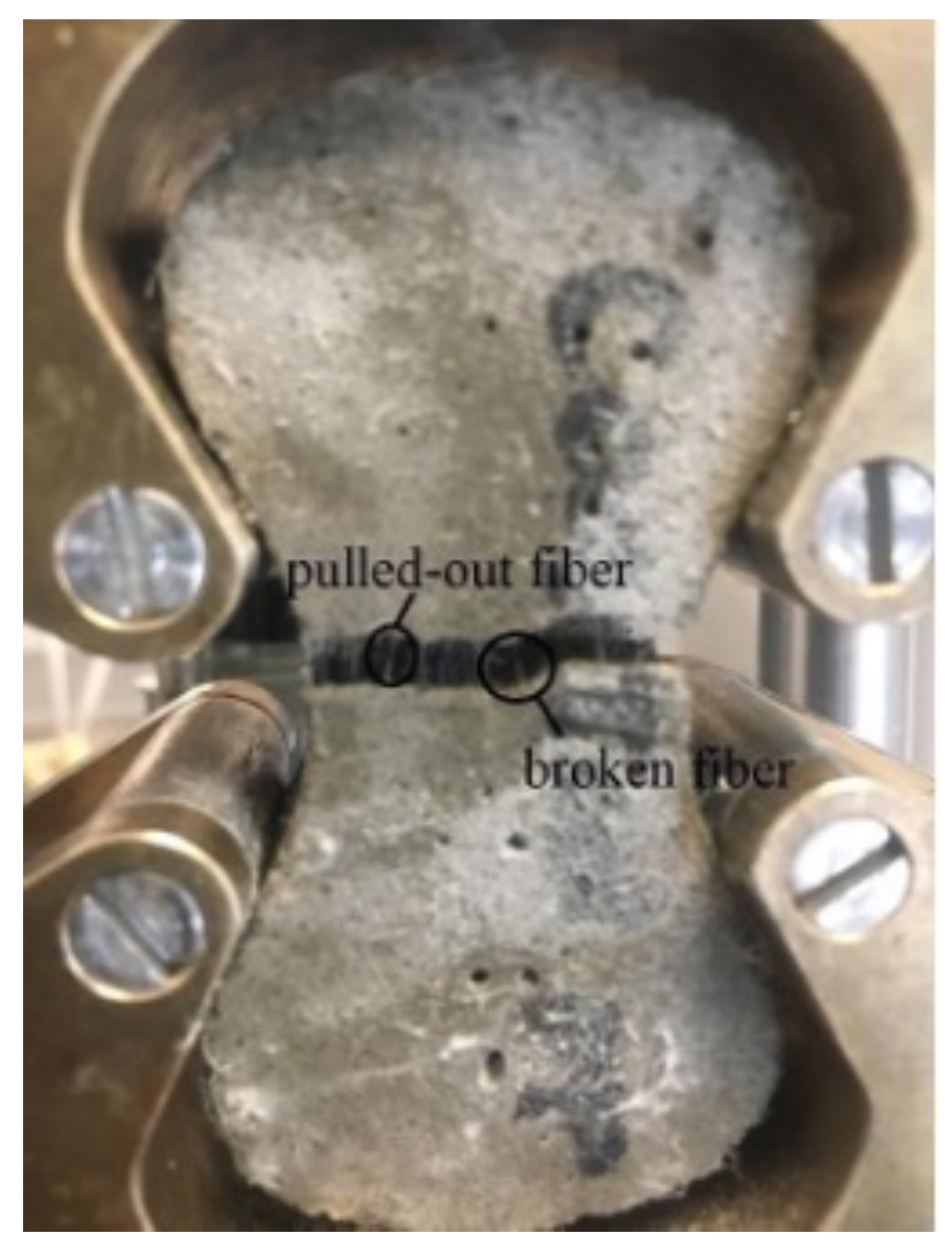 Fibers 09 00065 g009