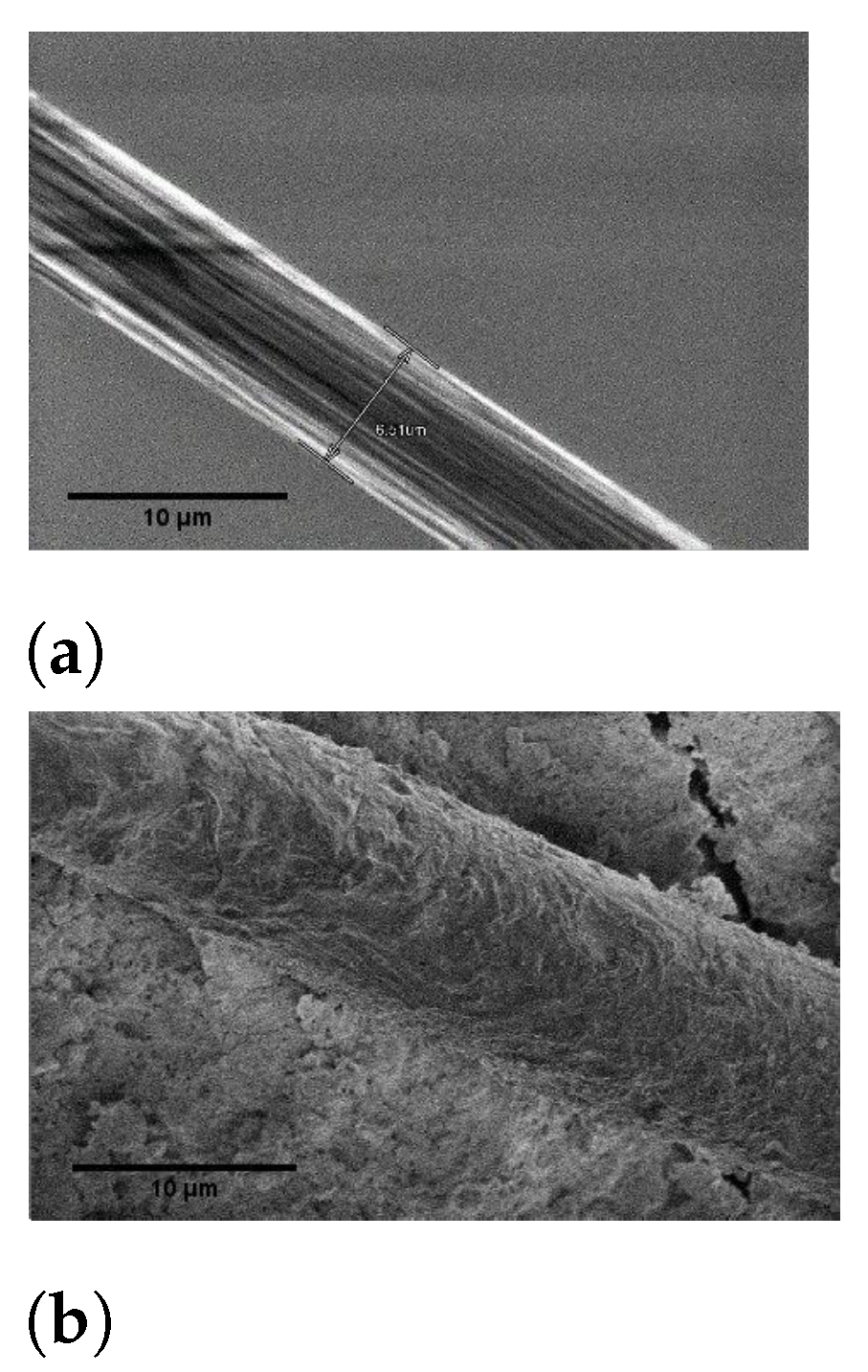 Fibers 09 00065 g012