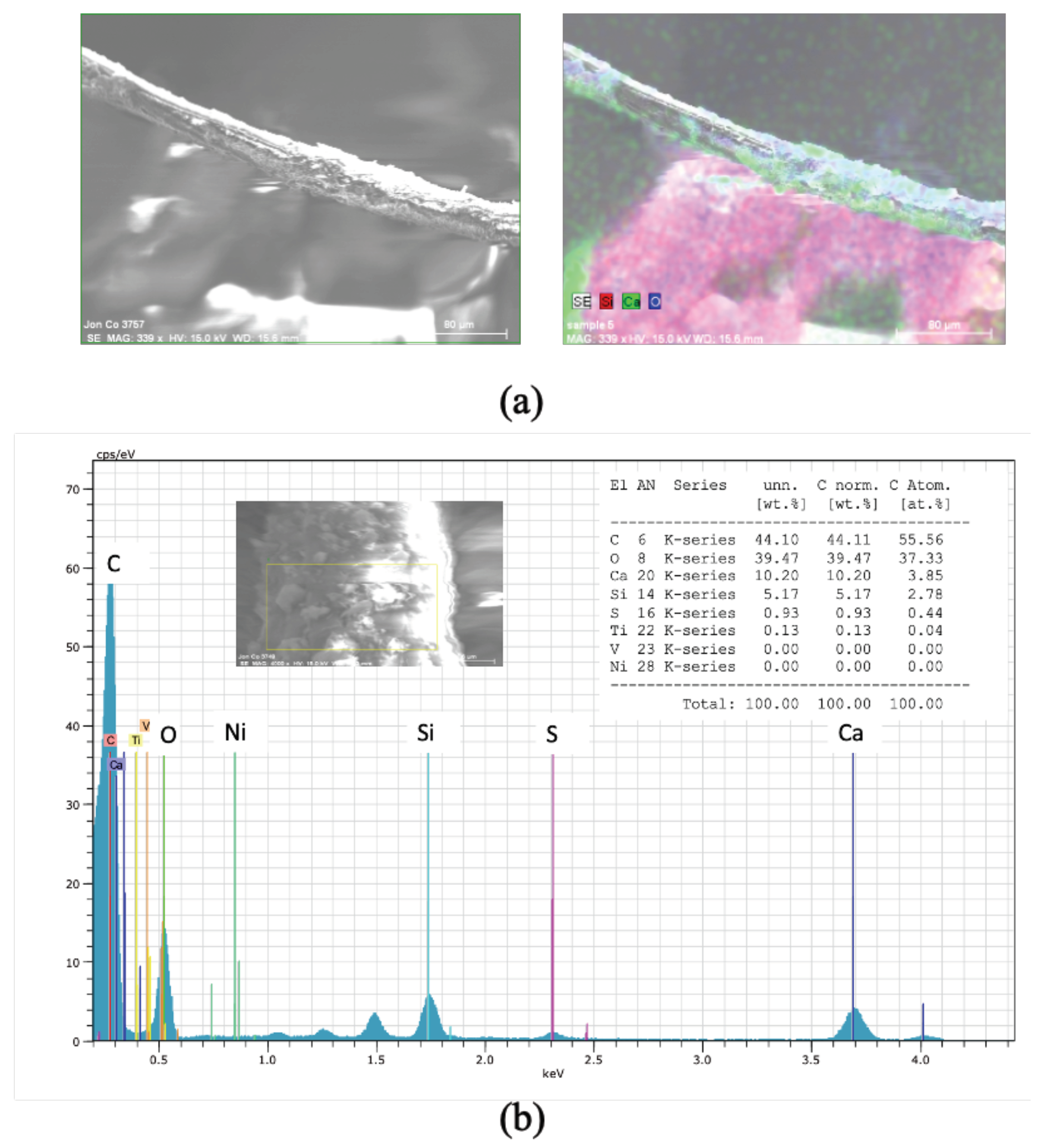 Fibers 09 00065 g013