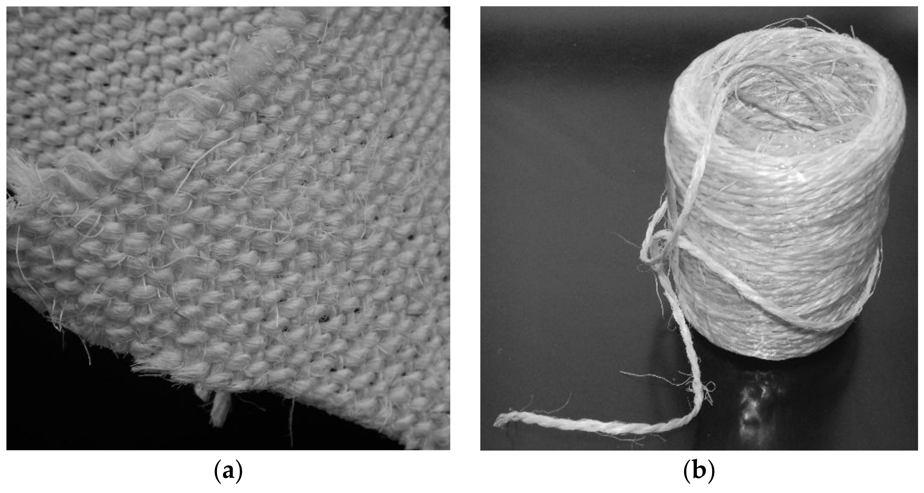 Fibers 09 00068 g001