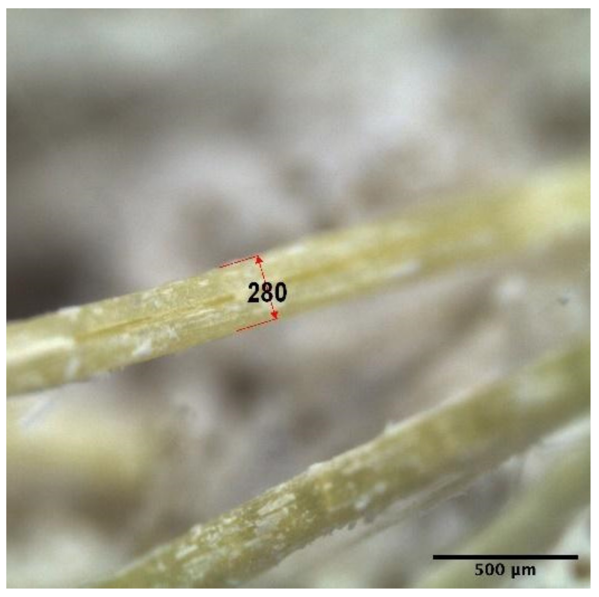 Fibers 09 00068 g002