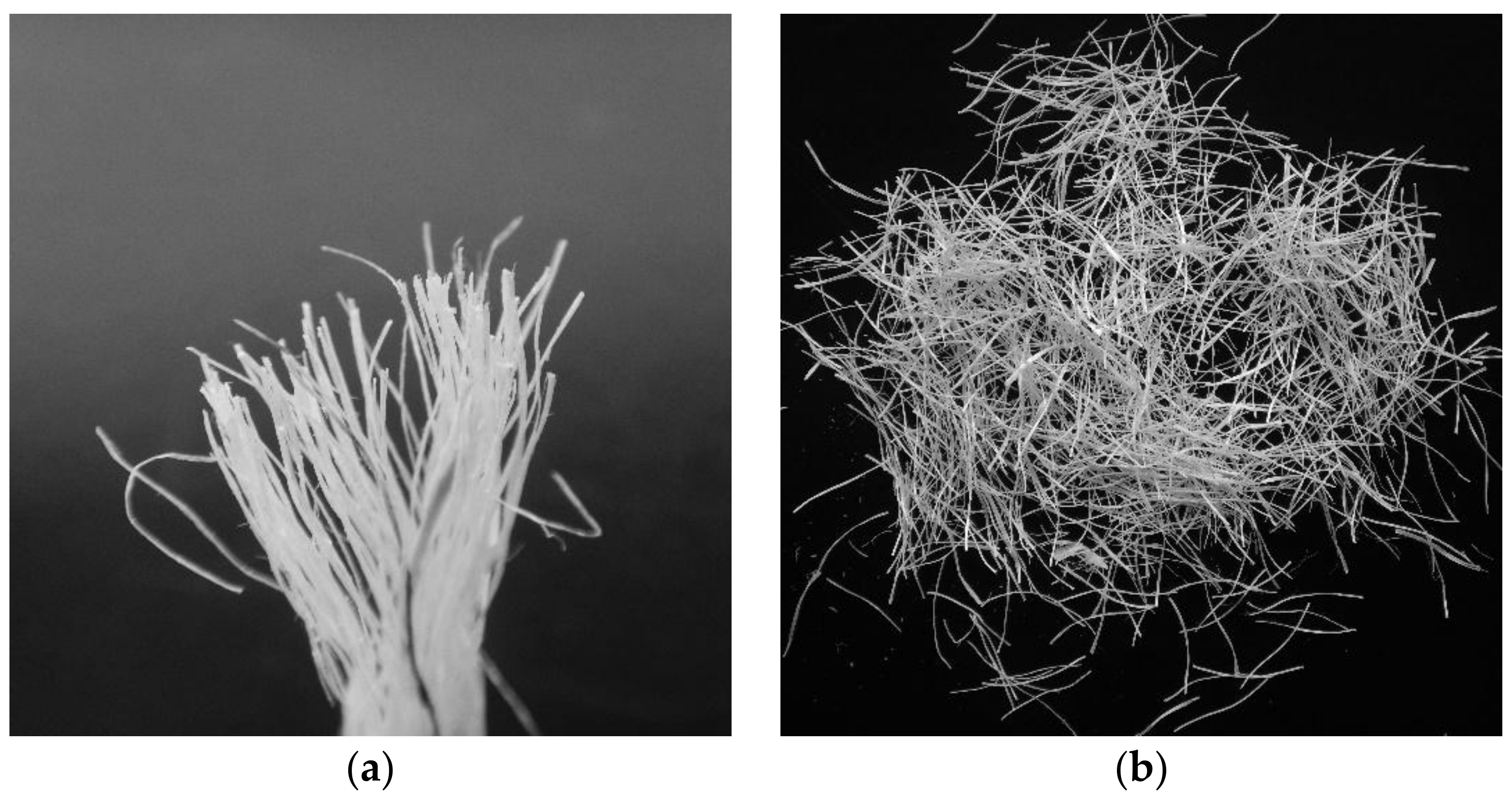 Fibers 09 00068 g003