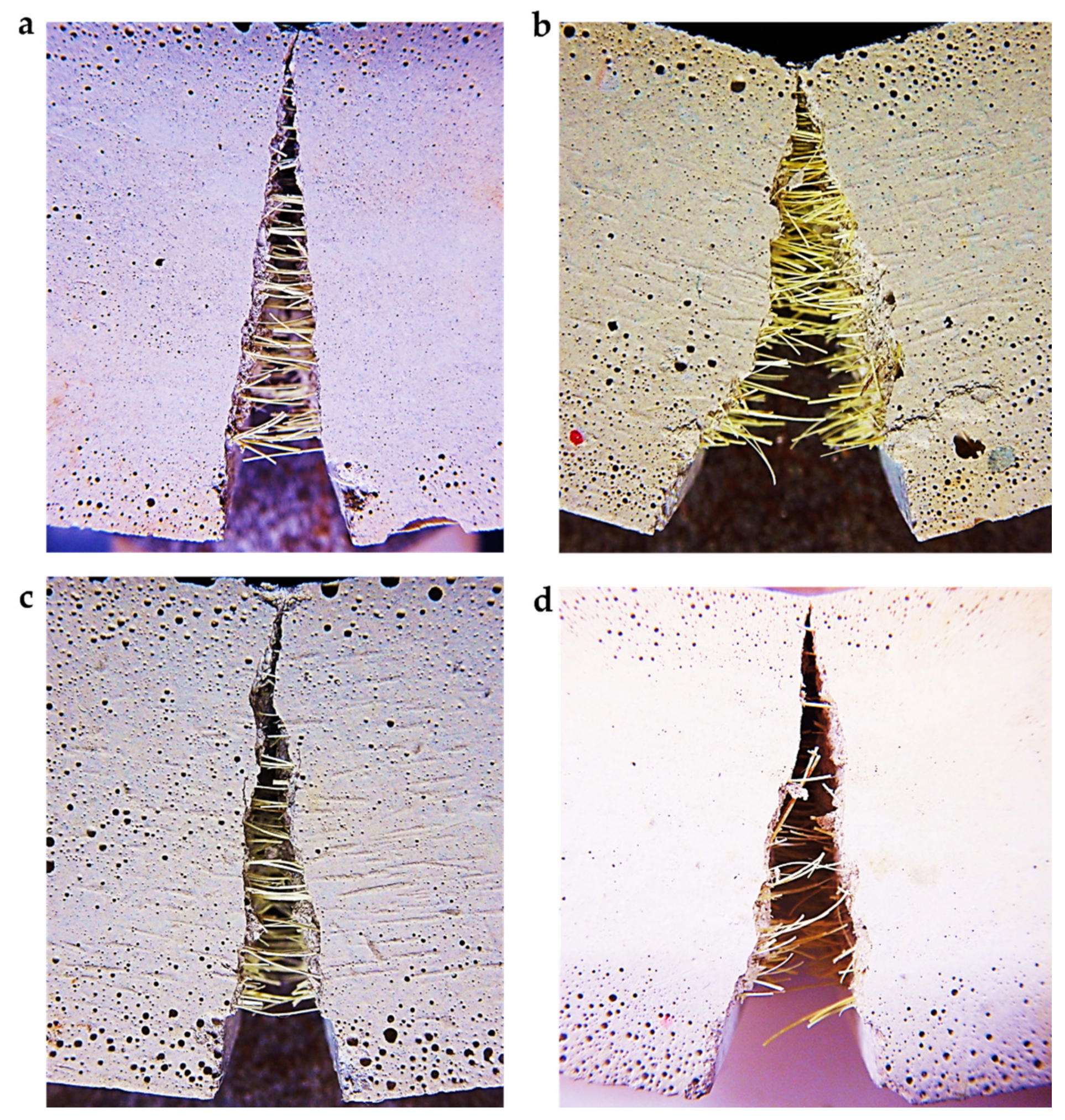 Fibers 09 00068 g021