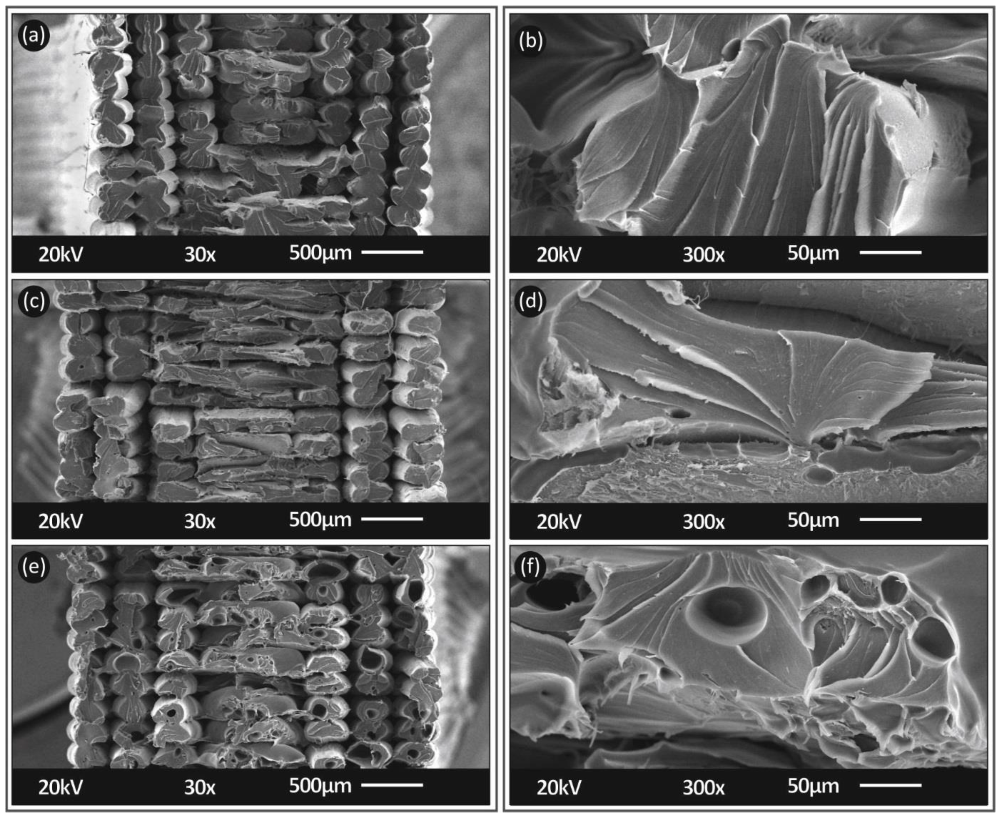 Fibers 09 00074 g008