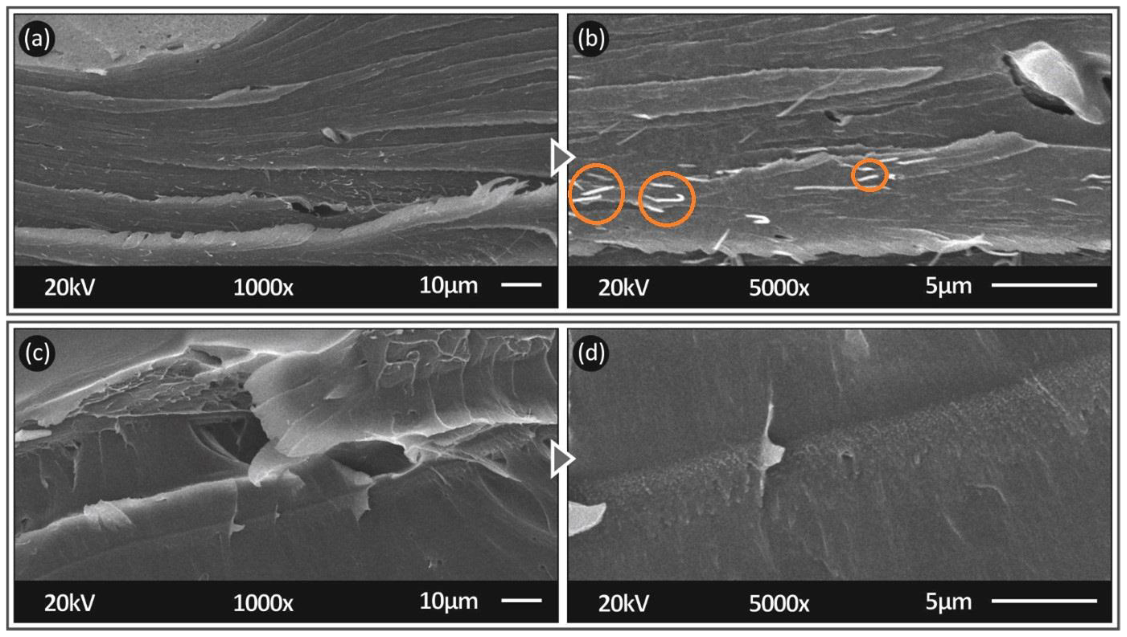 Fibers 09 00074 g010
