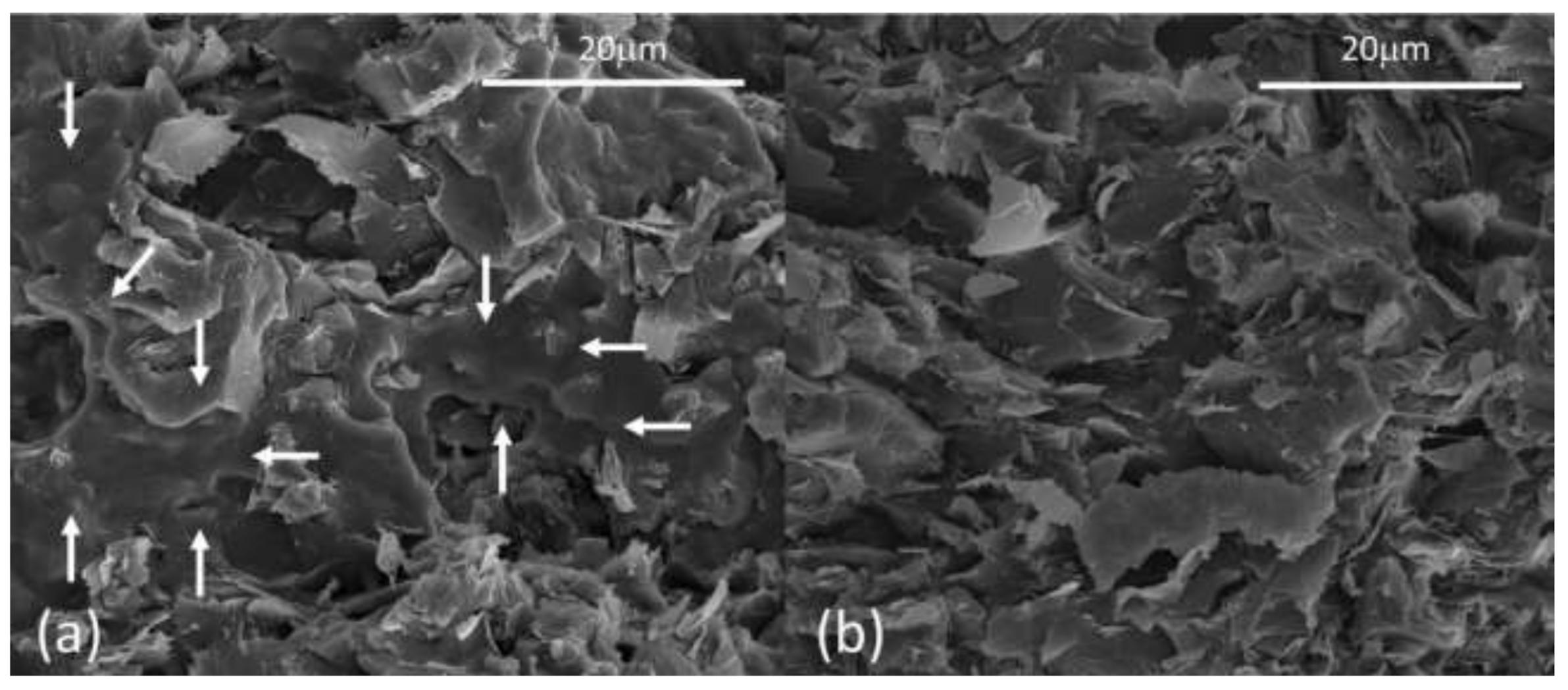 Fibers 09 00086 g003