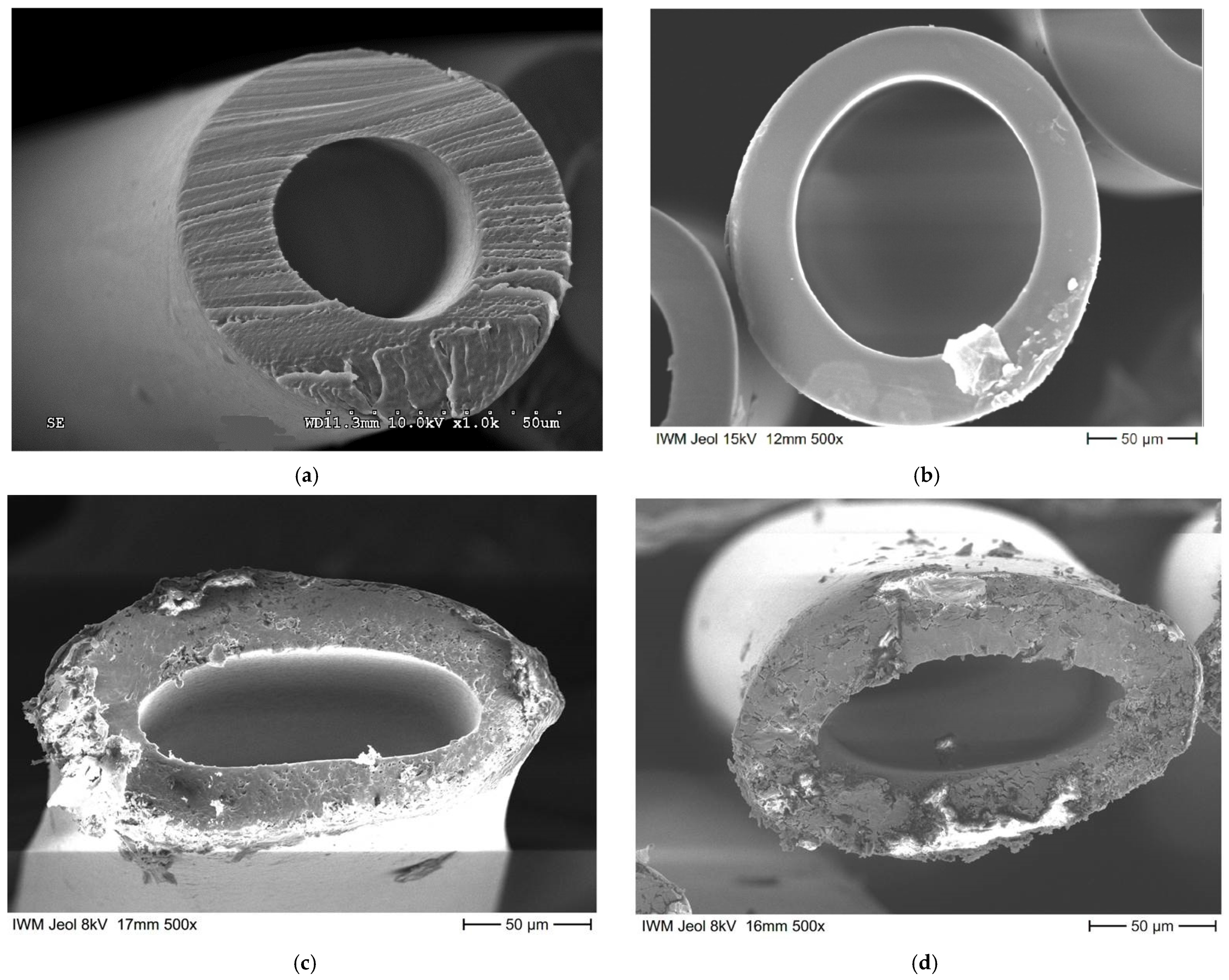 Fibers 10 00001 g007