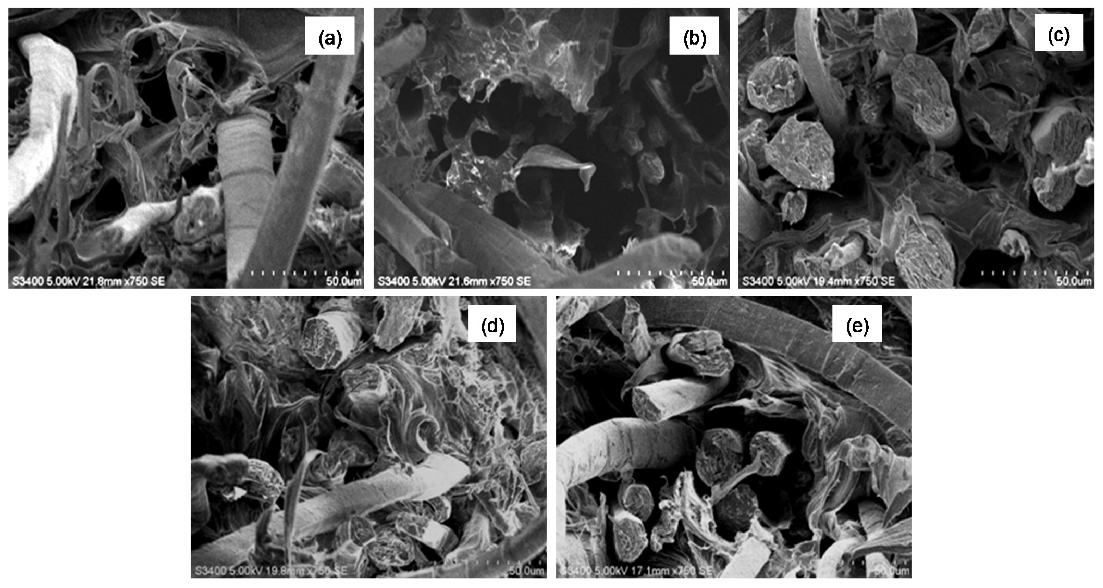 Fibers 10 00002 g009