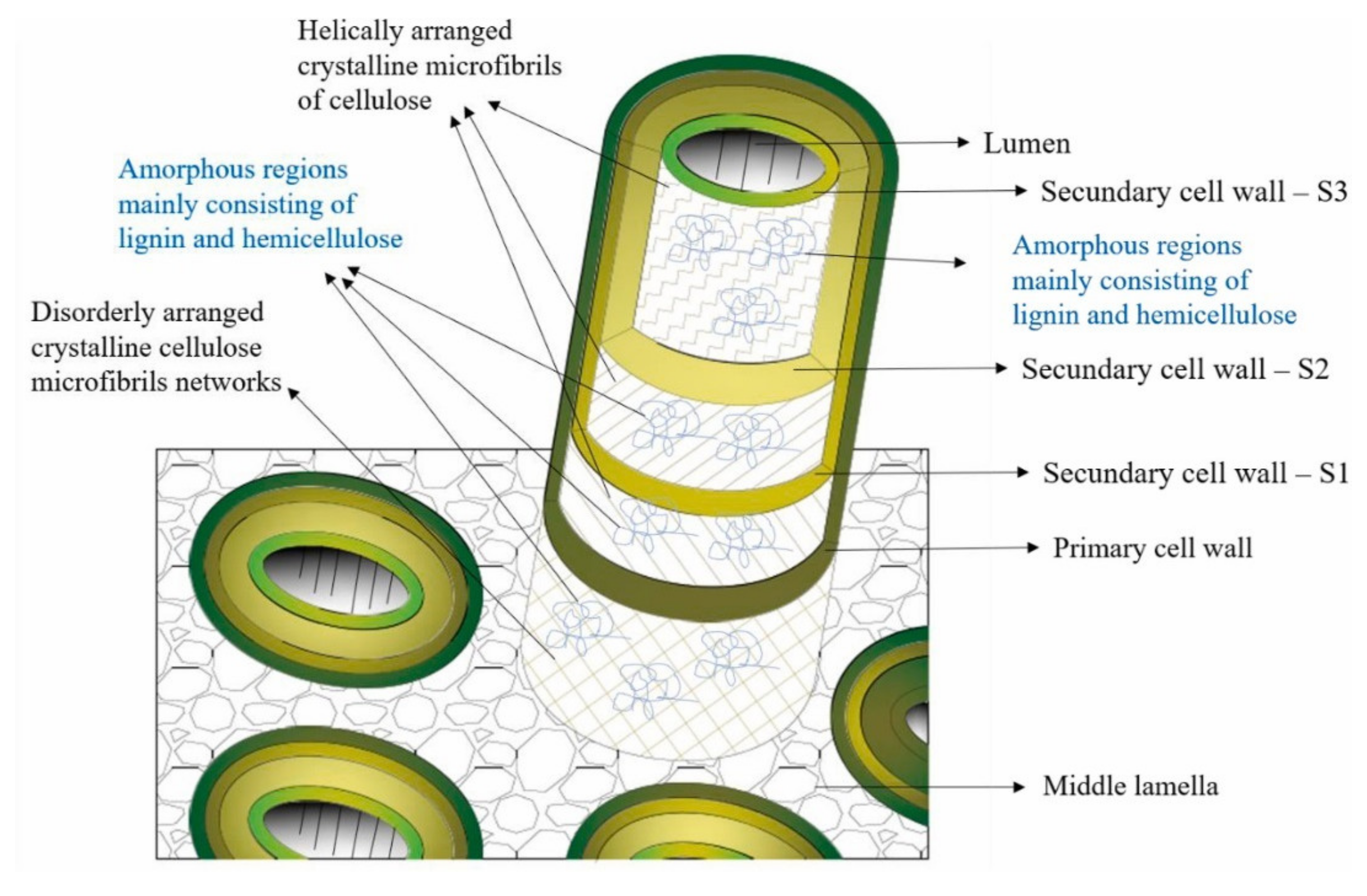 Fibers 10 00003 g005